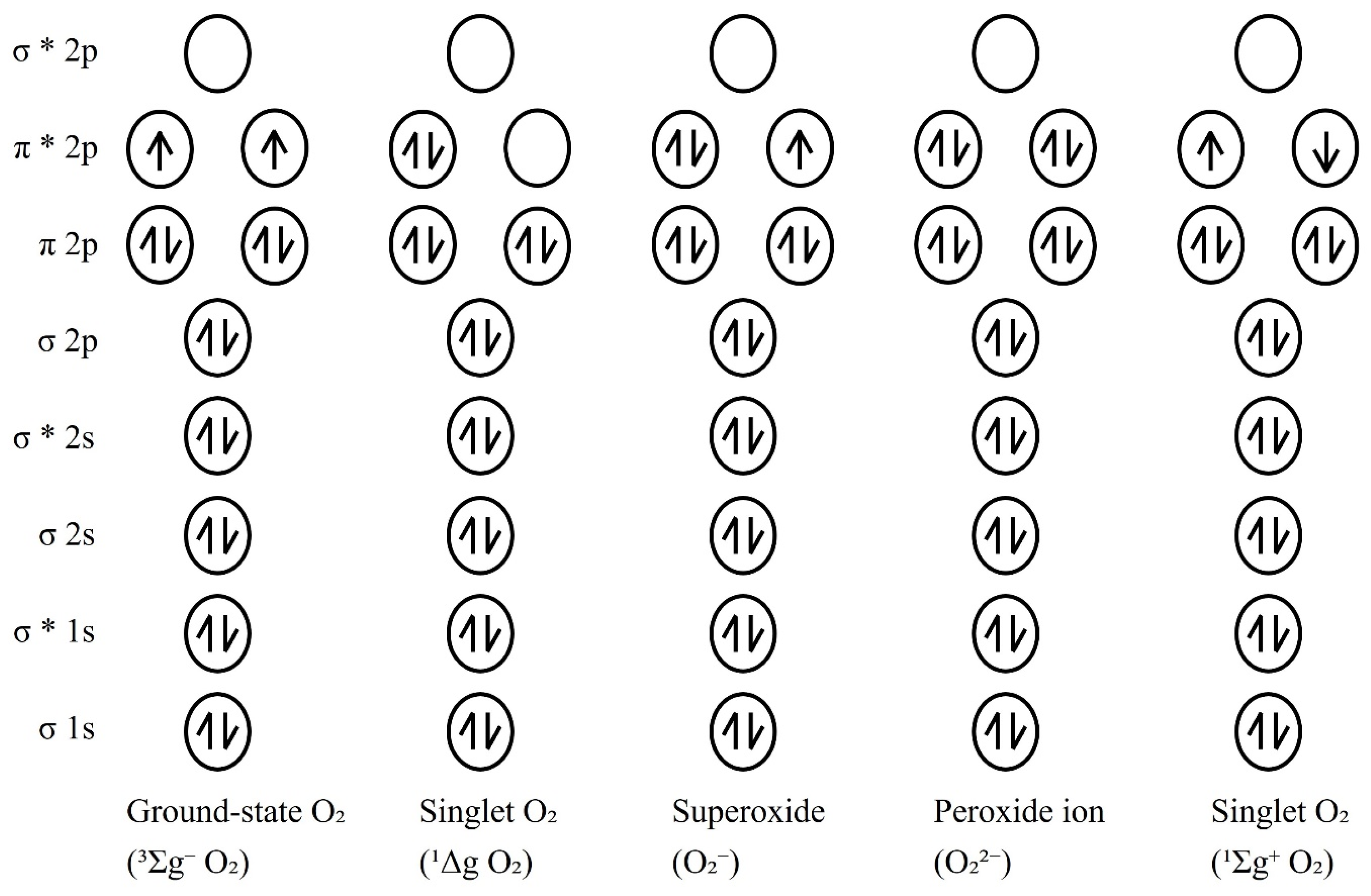 Antioxidants 14 00003 g001