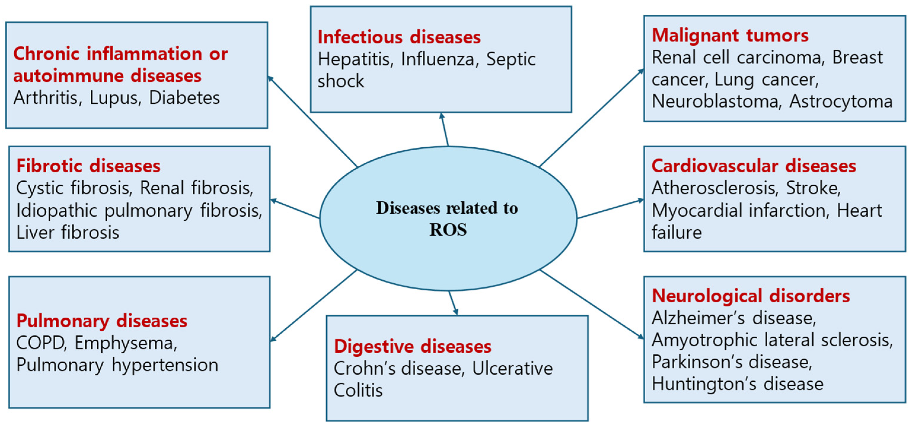 Antioxidants 14 00003 g003