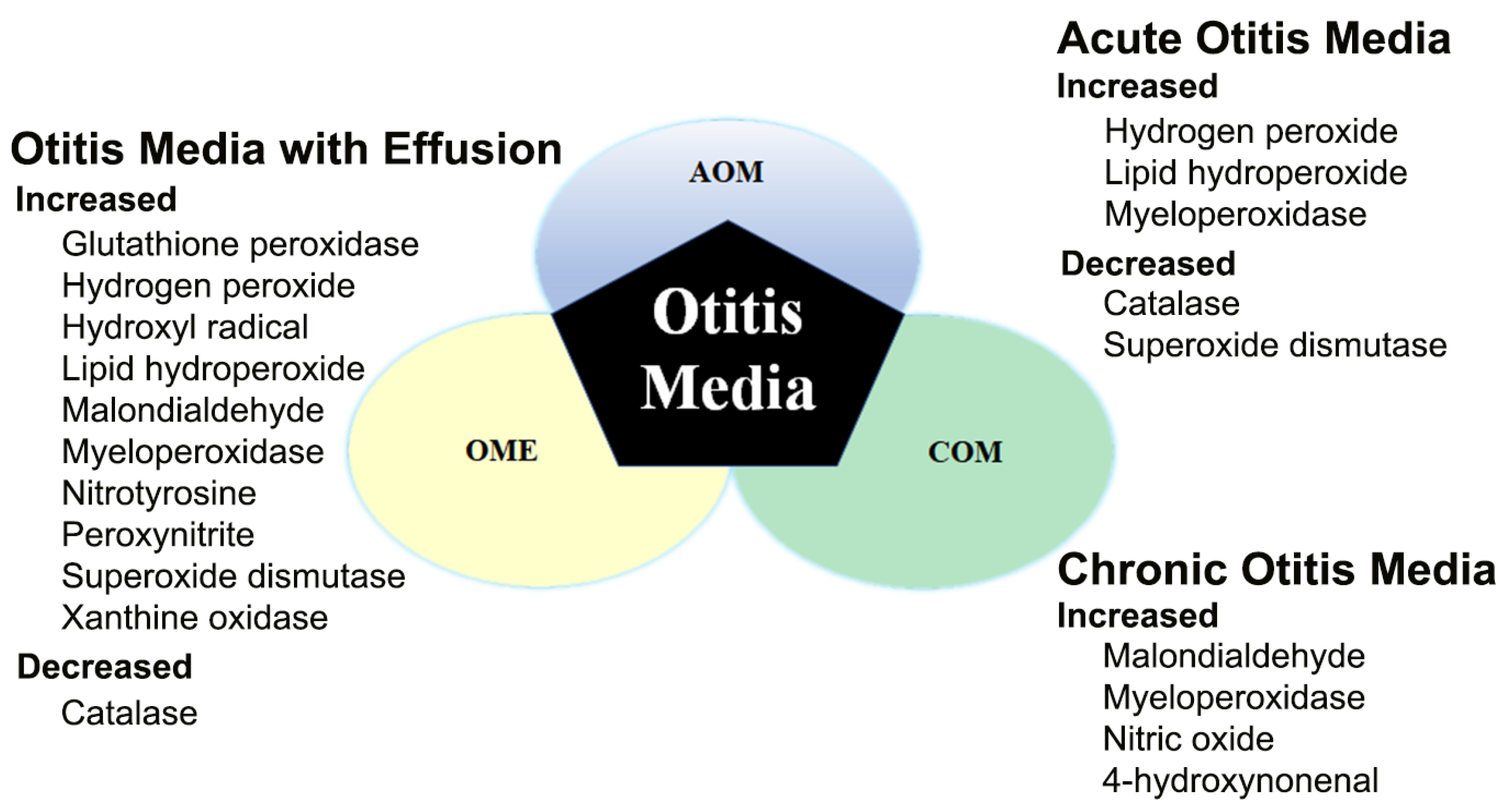 Antioxidants 14 00003 g004