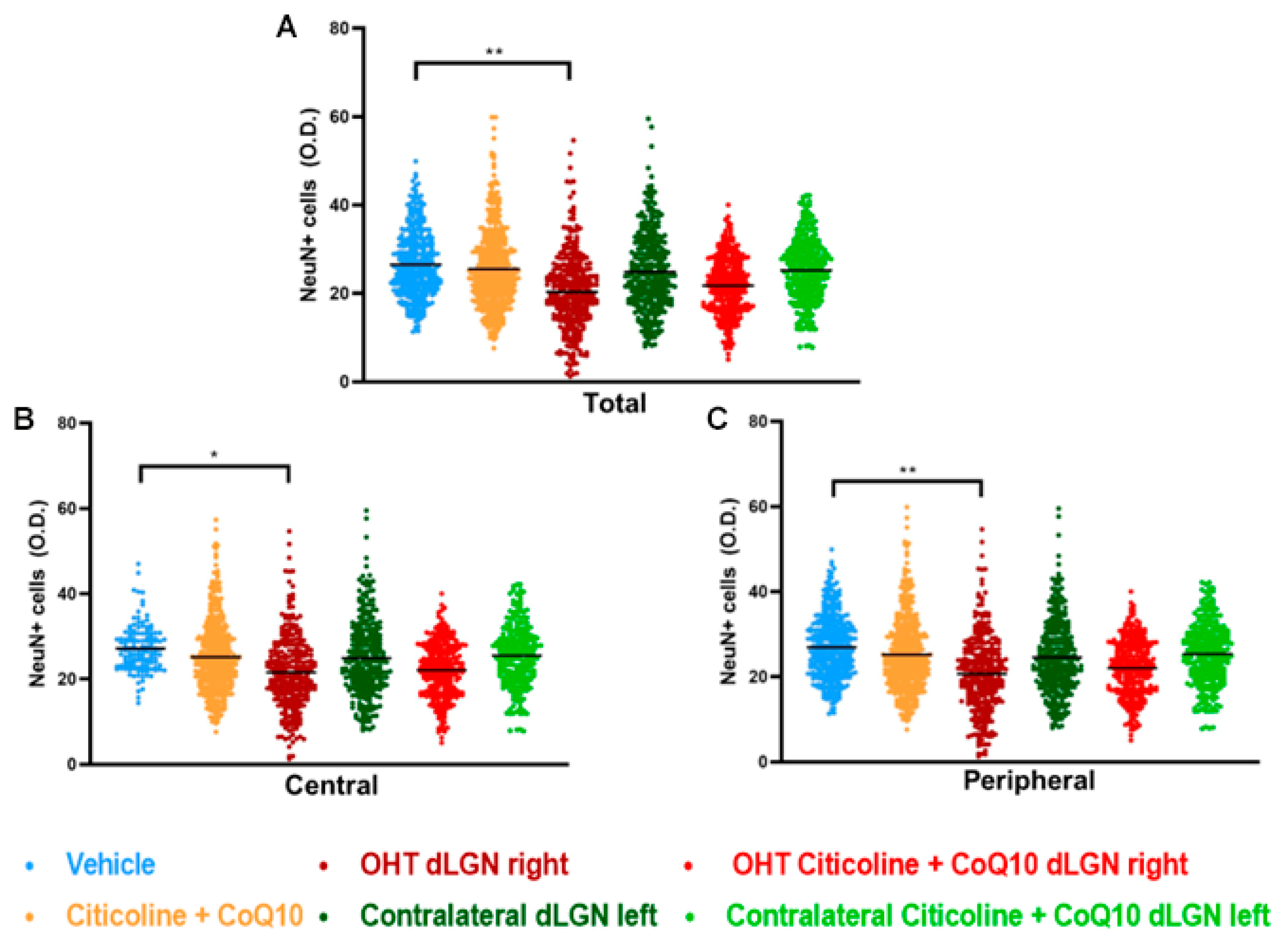 Antioxidants 14 00004 g015 Antioxidants 14 00004 g015