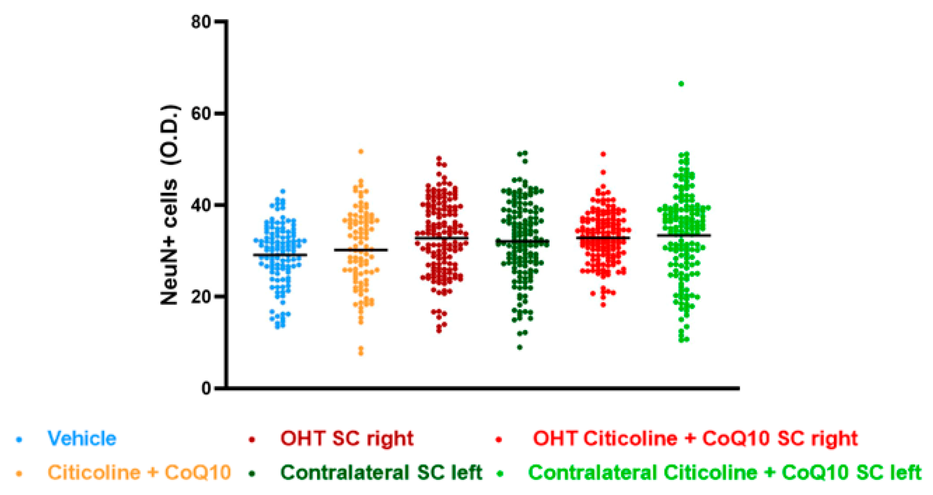 Antioxidants 14 00004 g017 Antioxidants 14 00004 g017