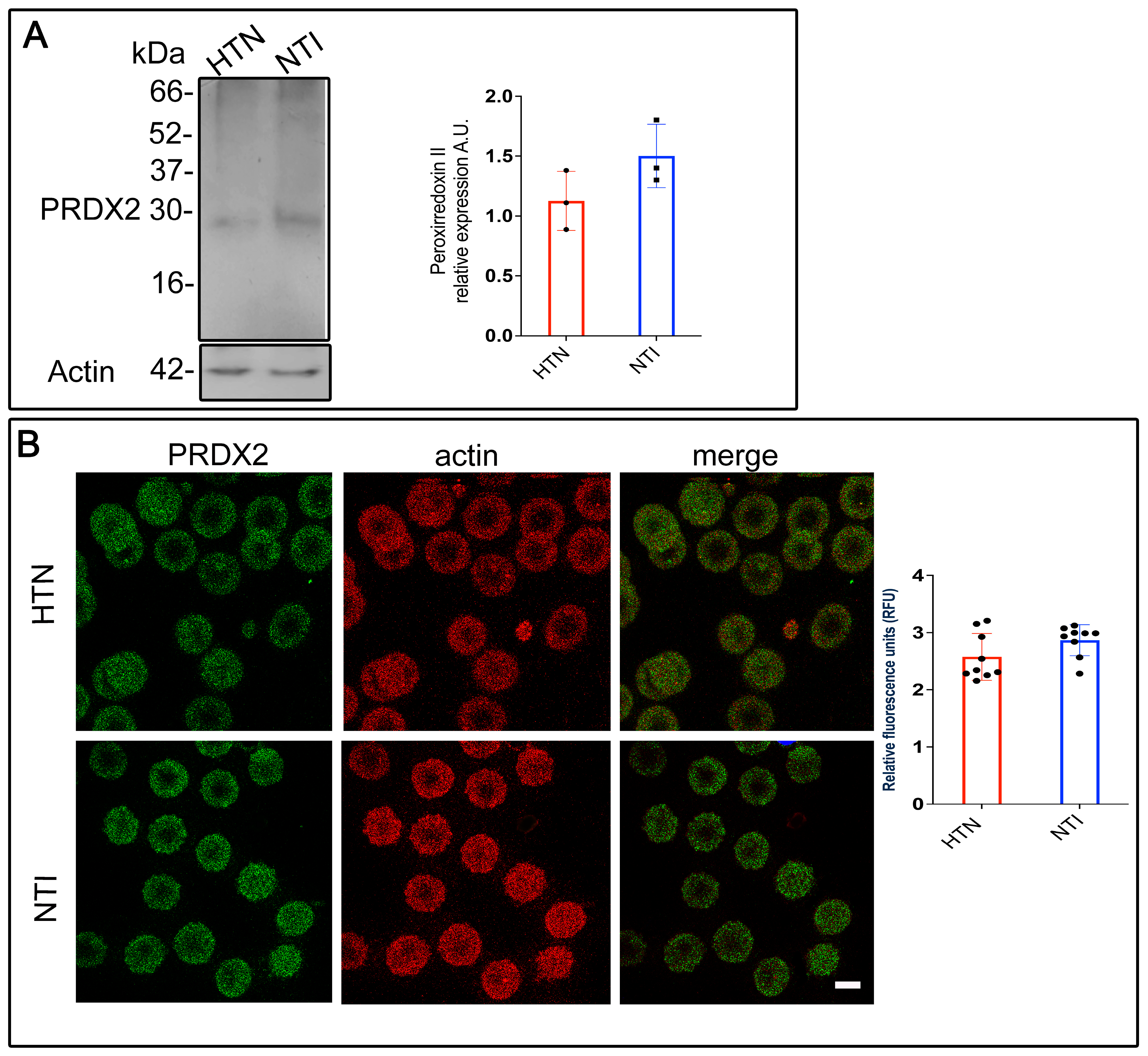 Antioxidants 14 00005 g001