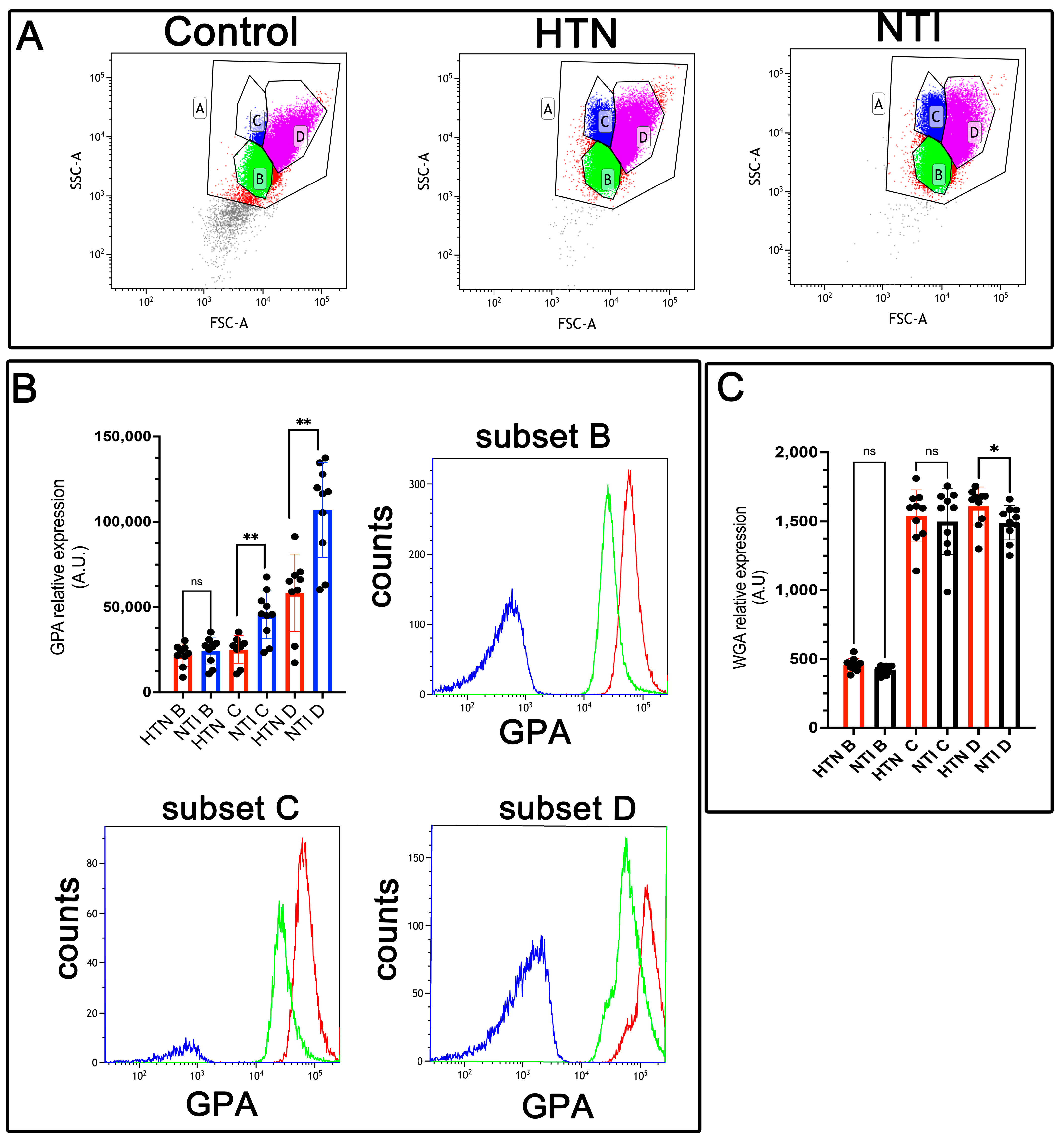 Antioxidants 14 00005 g003