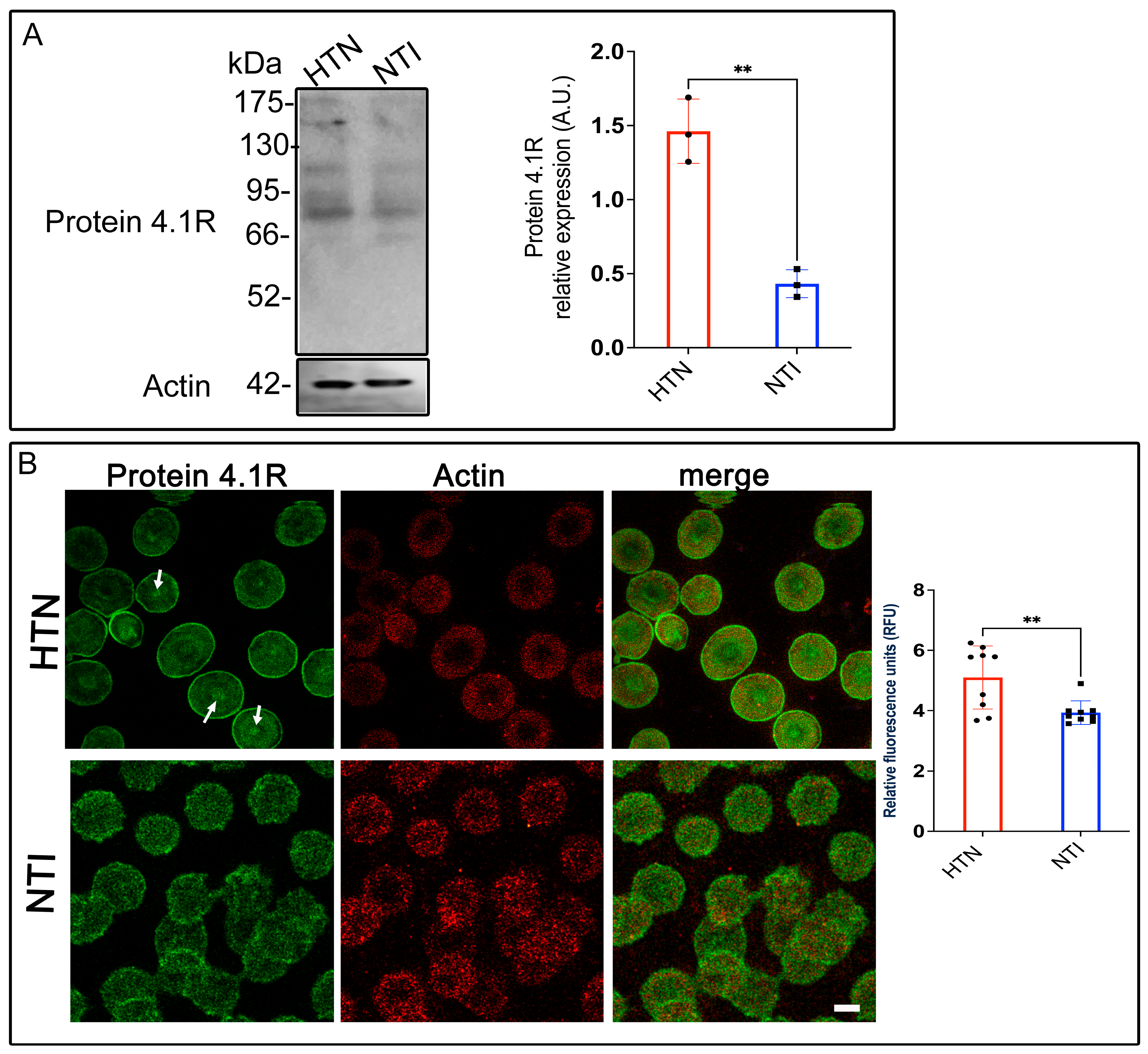 Antioxidants 14 00005 g006