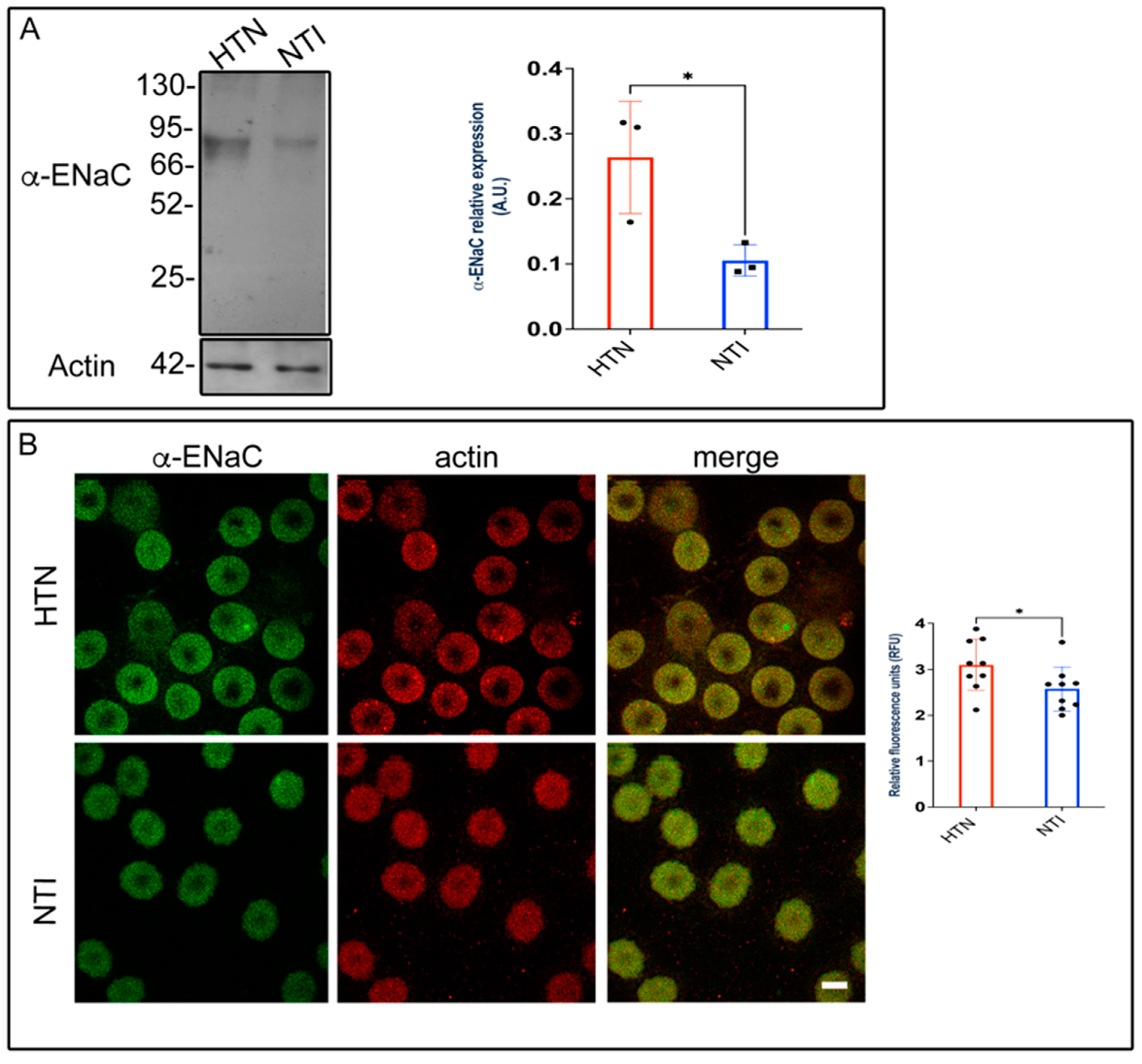 Antioxidants 14 00005 g008