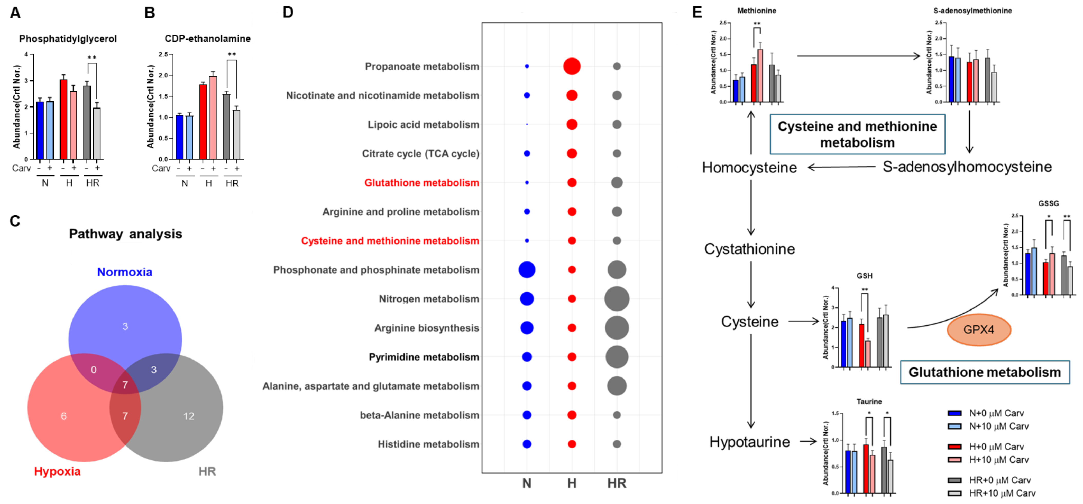 Antioxidants 14 00007 g004
