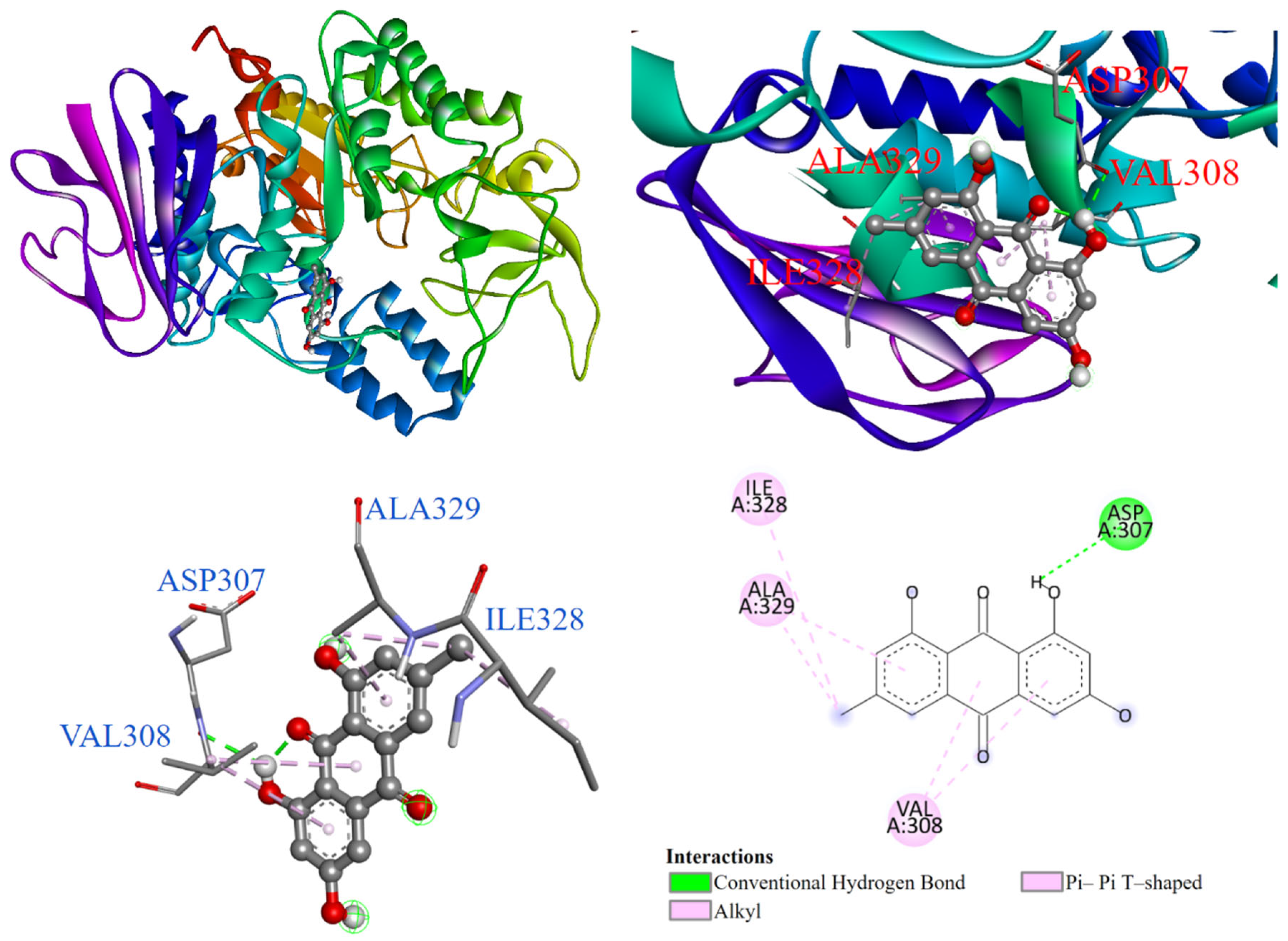 Antioxidants 14 00008 g005