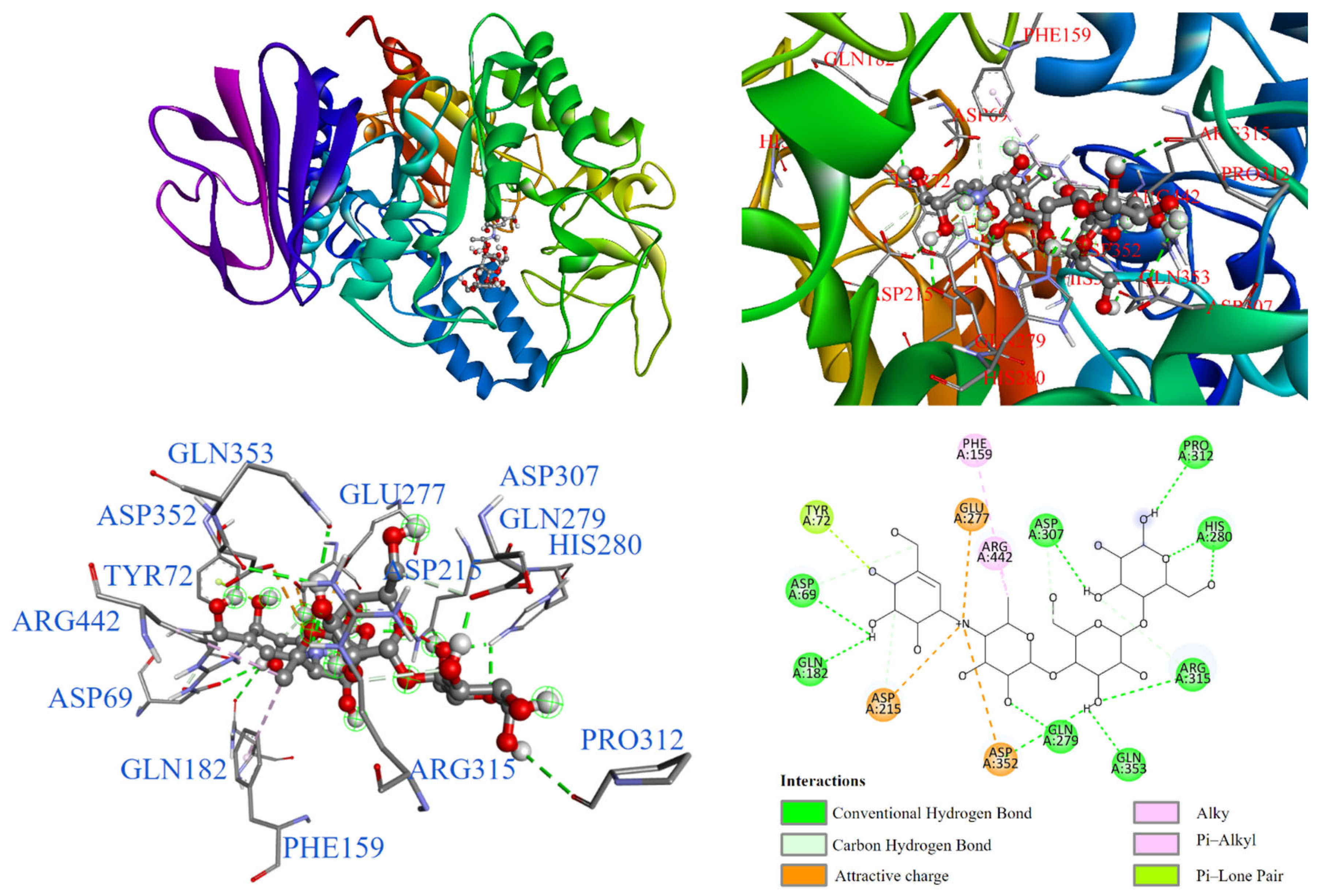 Antioxidants 14 00008 g006