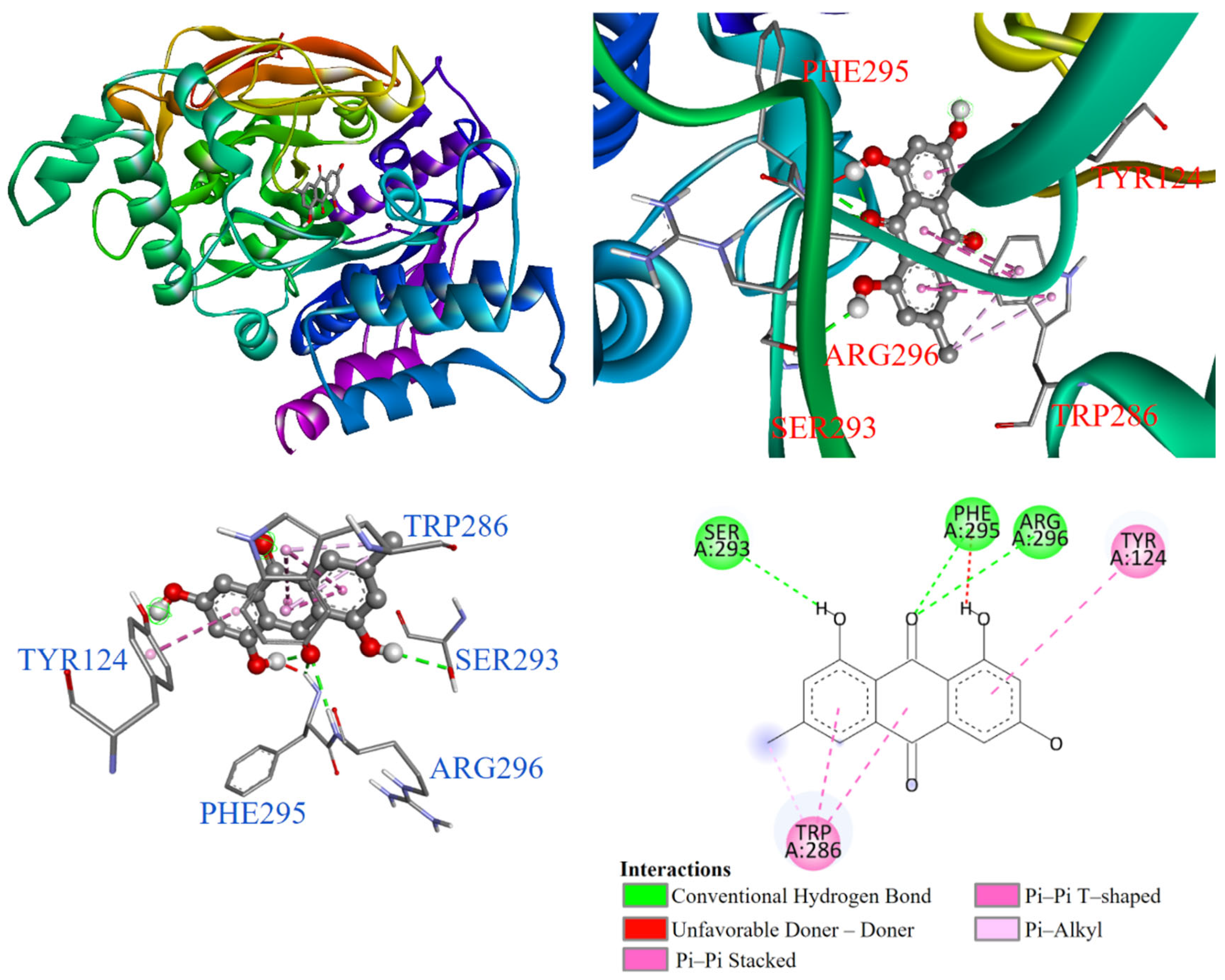 Antioxidants 14 00008 g007