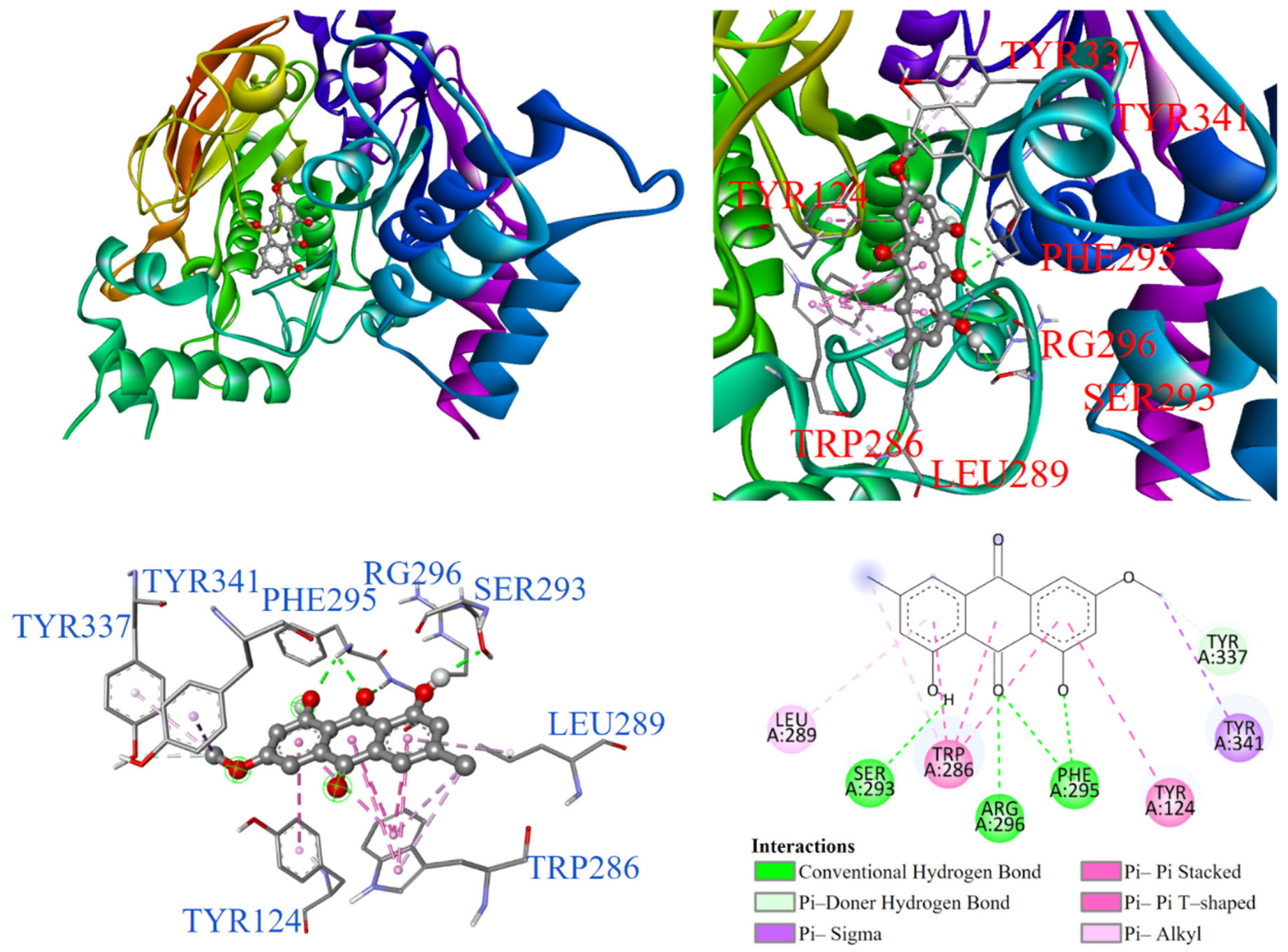 Antioxidants 14 00008 g008