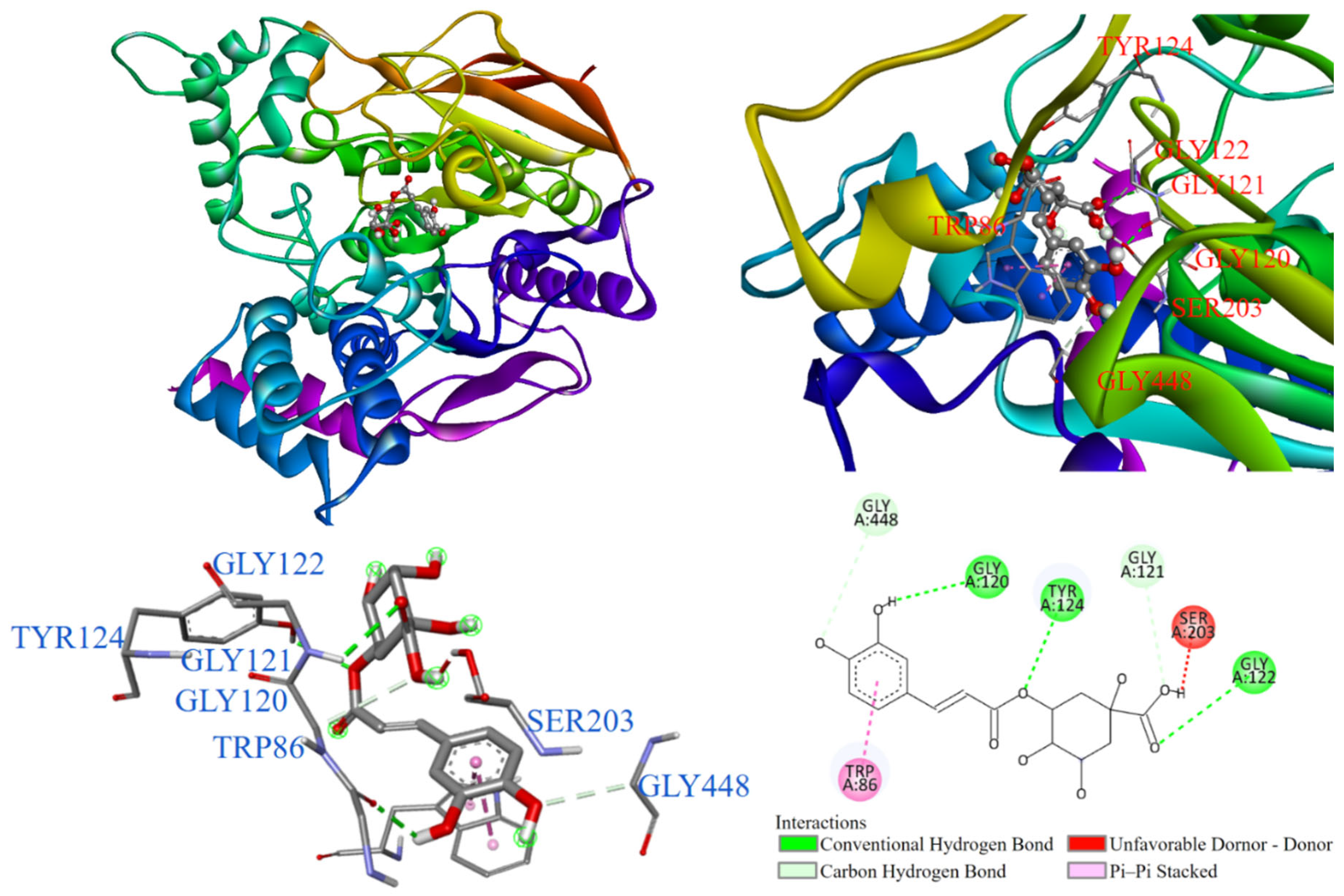 Antioxidants 14 00008 g010