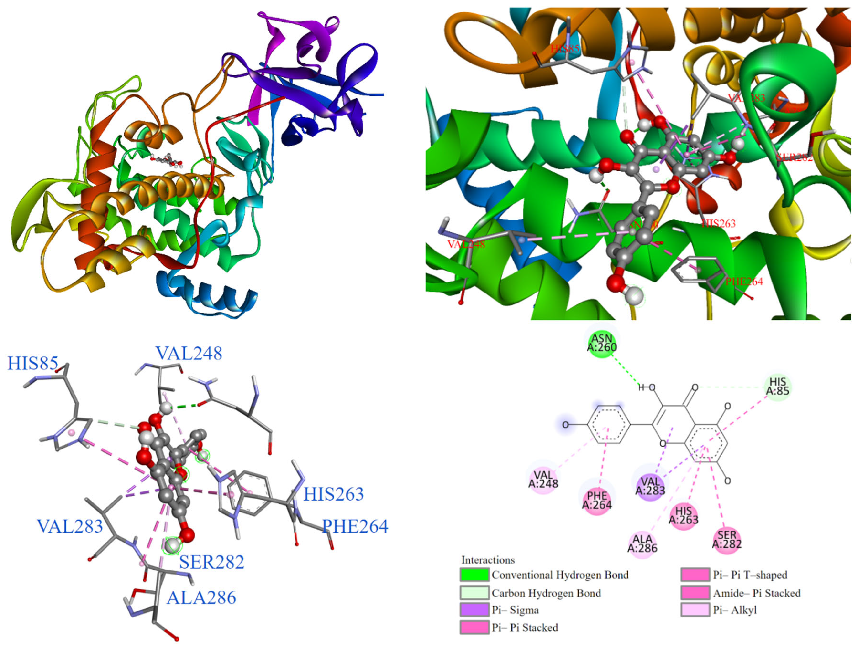 Antioxidants 14 00008 g011