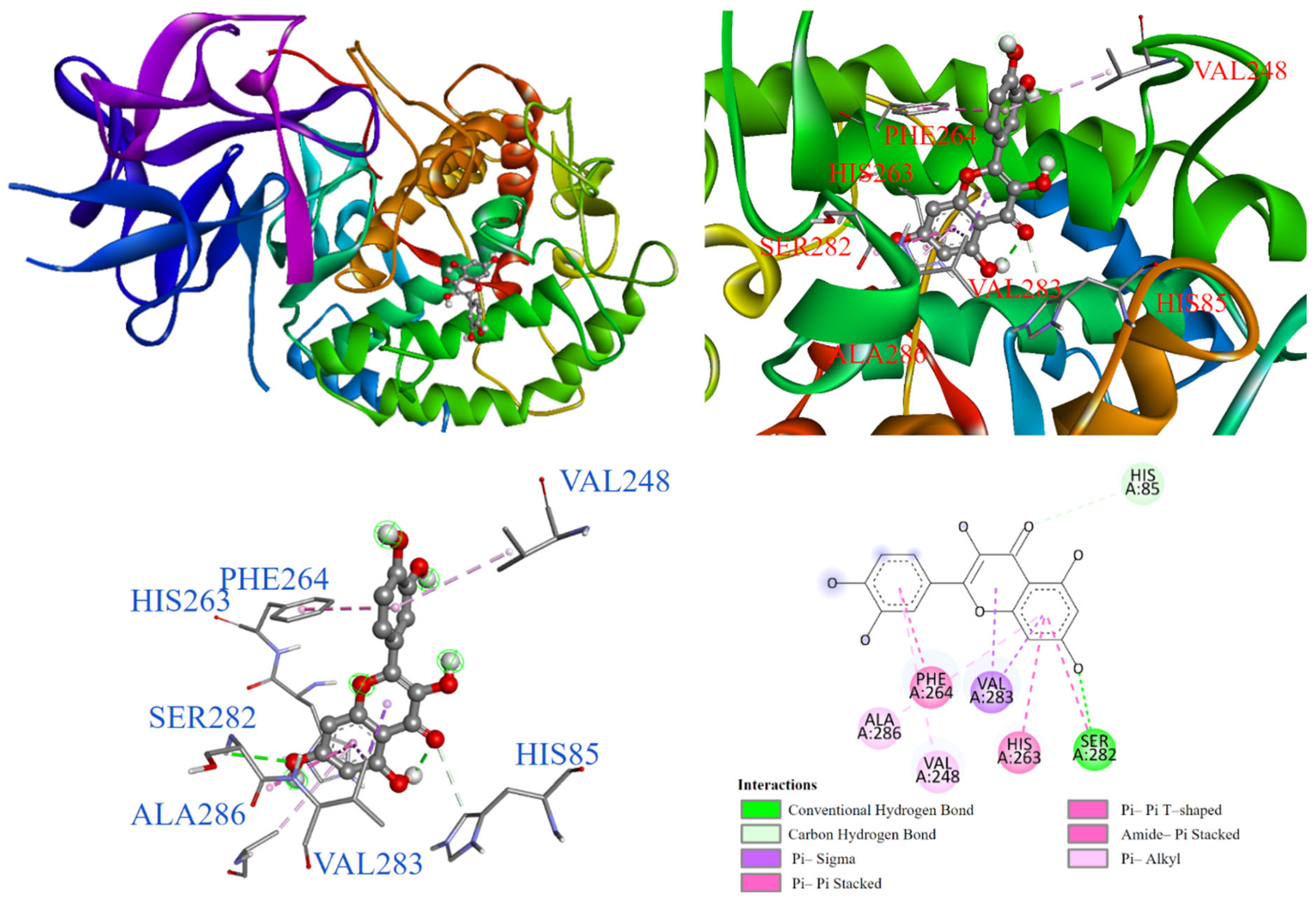 Antioxidants 14 00008 g012