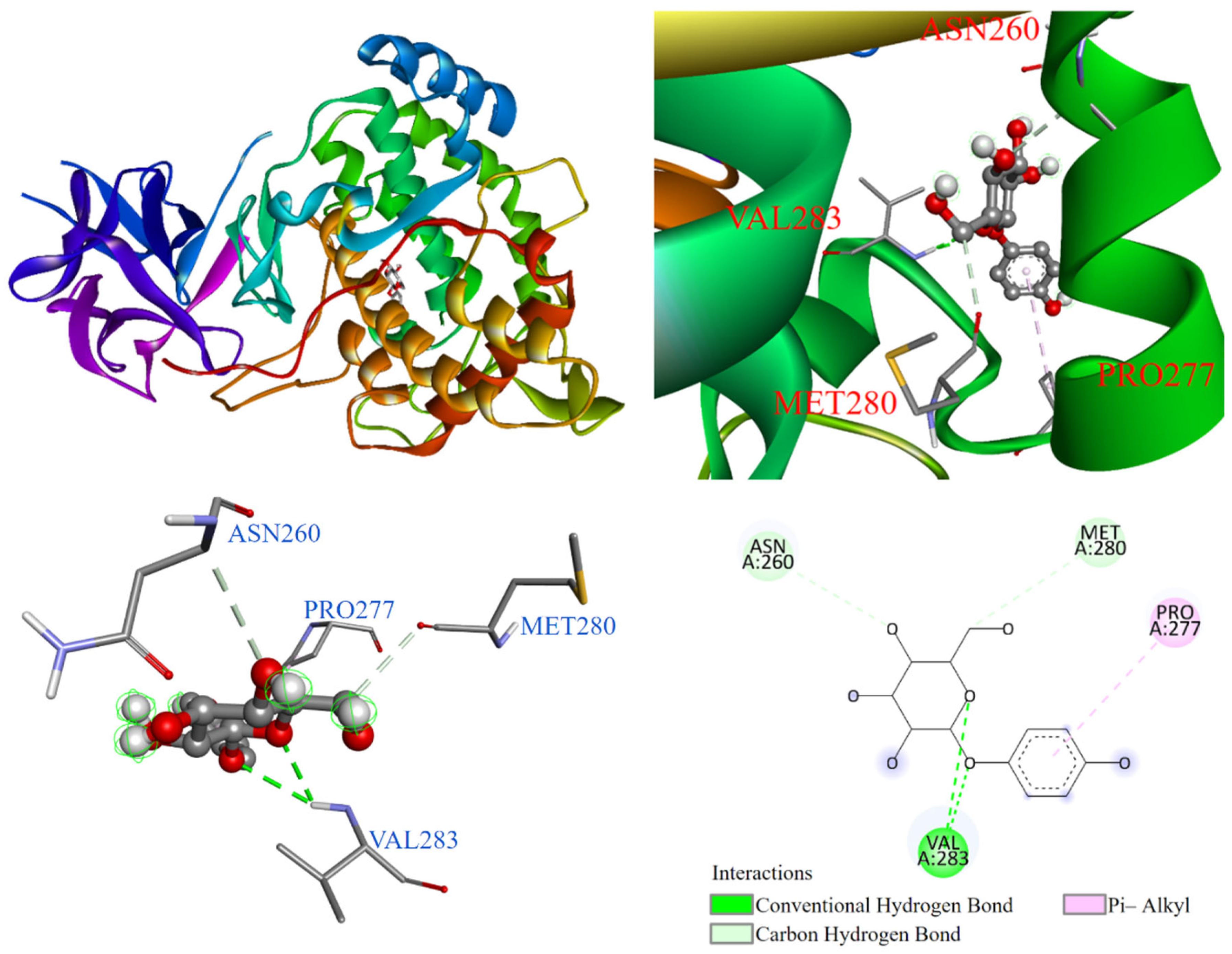 Antioxidants 14 00008 g013