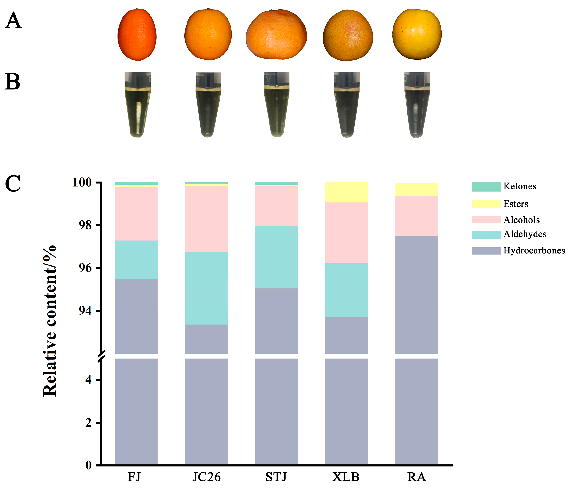 Antioxidants 14 00011 g001