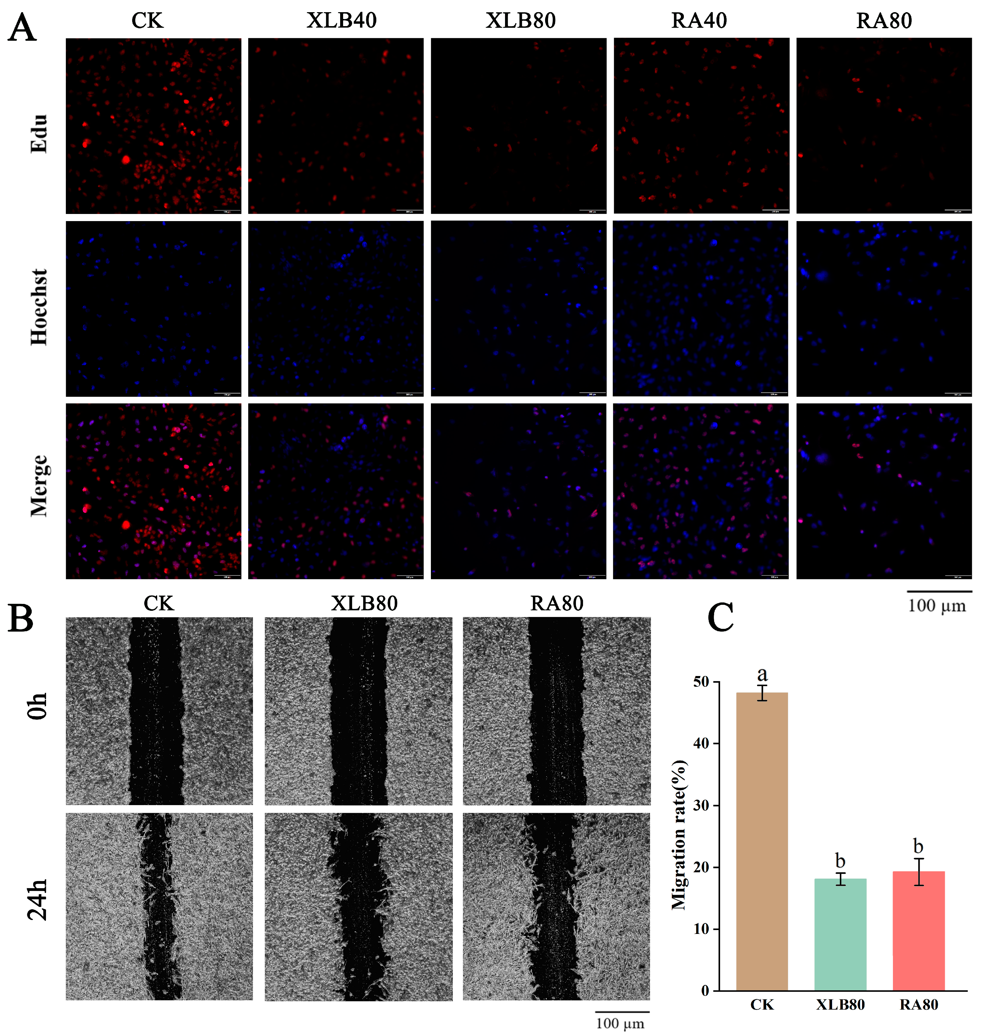 Antioxidants 14 00011 g003