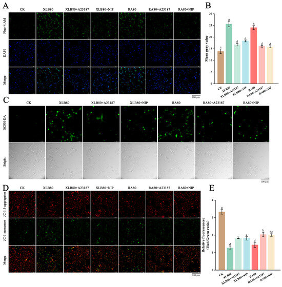 Antioxidants 14 00011 g006