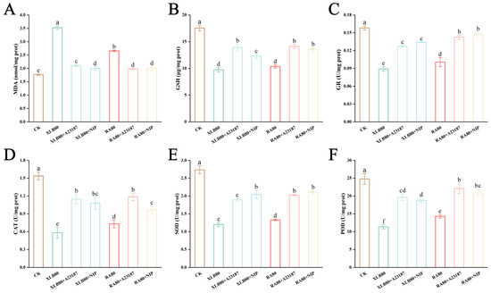 Antioxidants 14 00011 g007