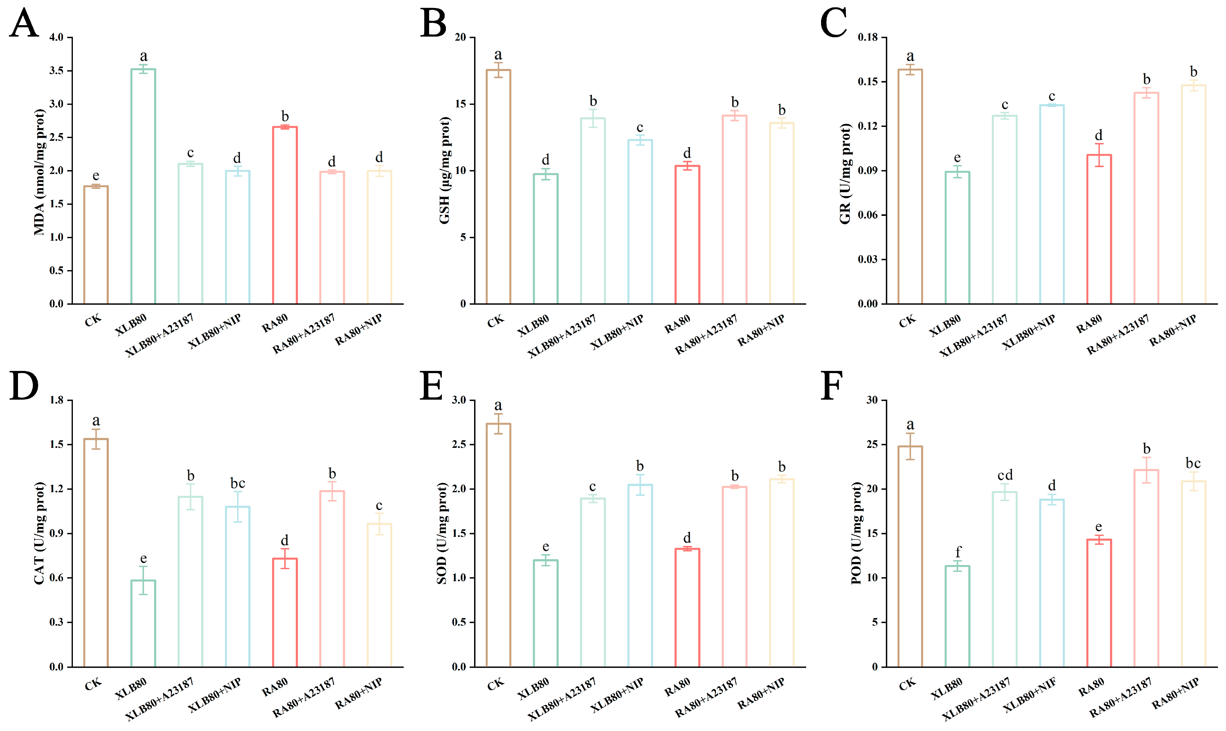 Antioxidants 14 00011 g007