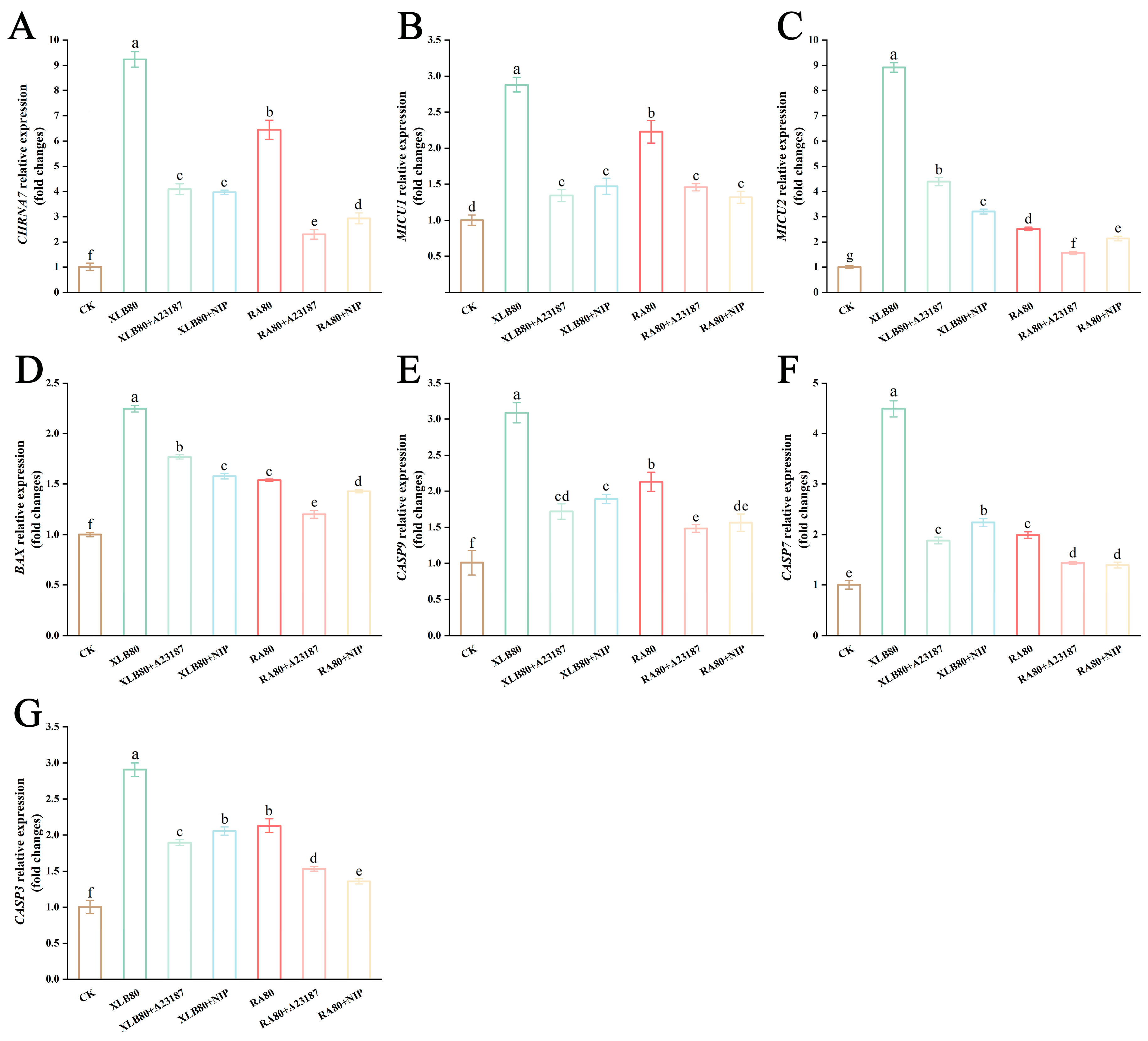 Antioxidants 14 00011 g008