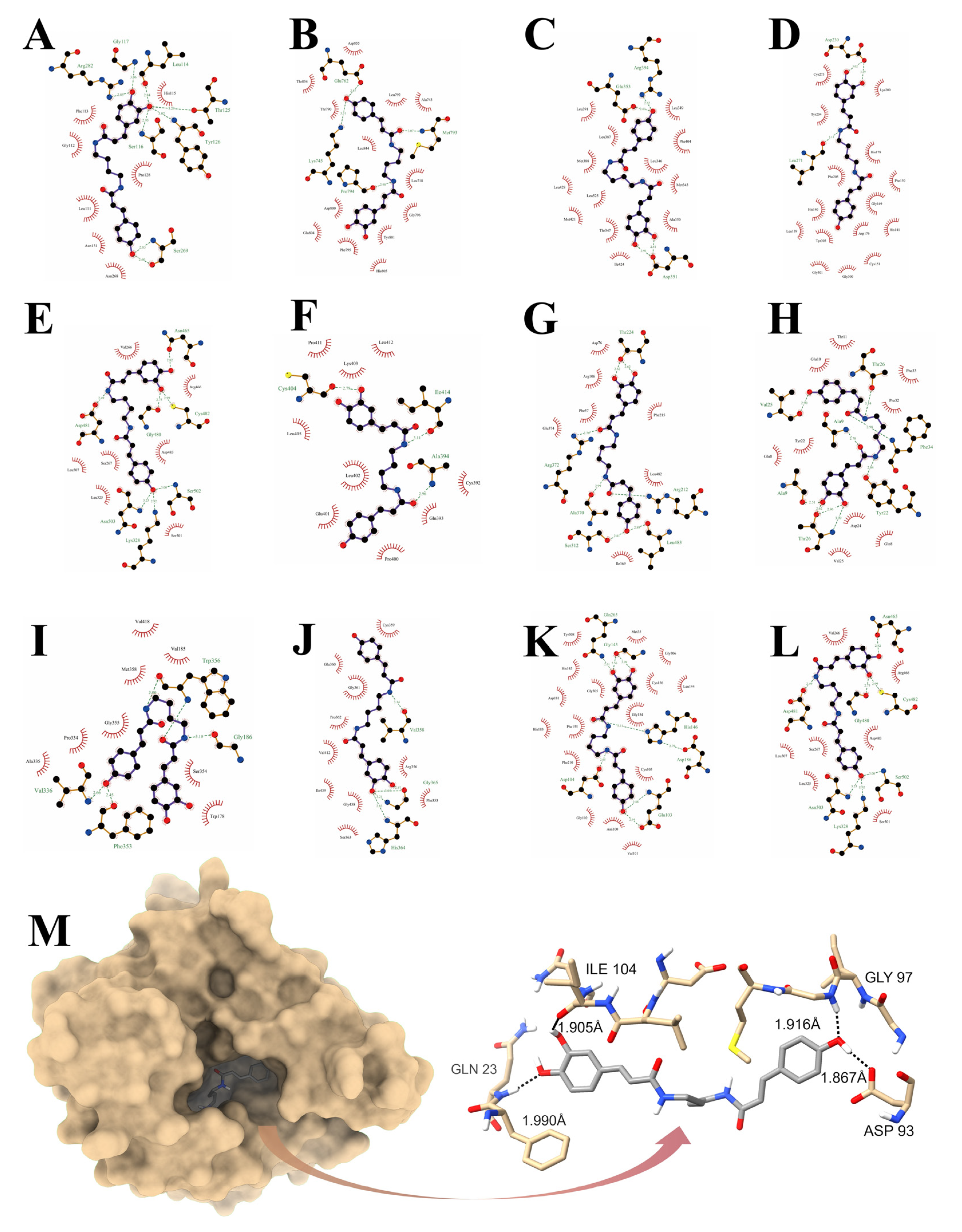 Antioxidants 14 00012 g005