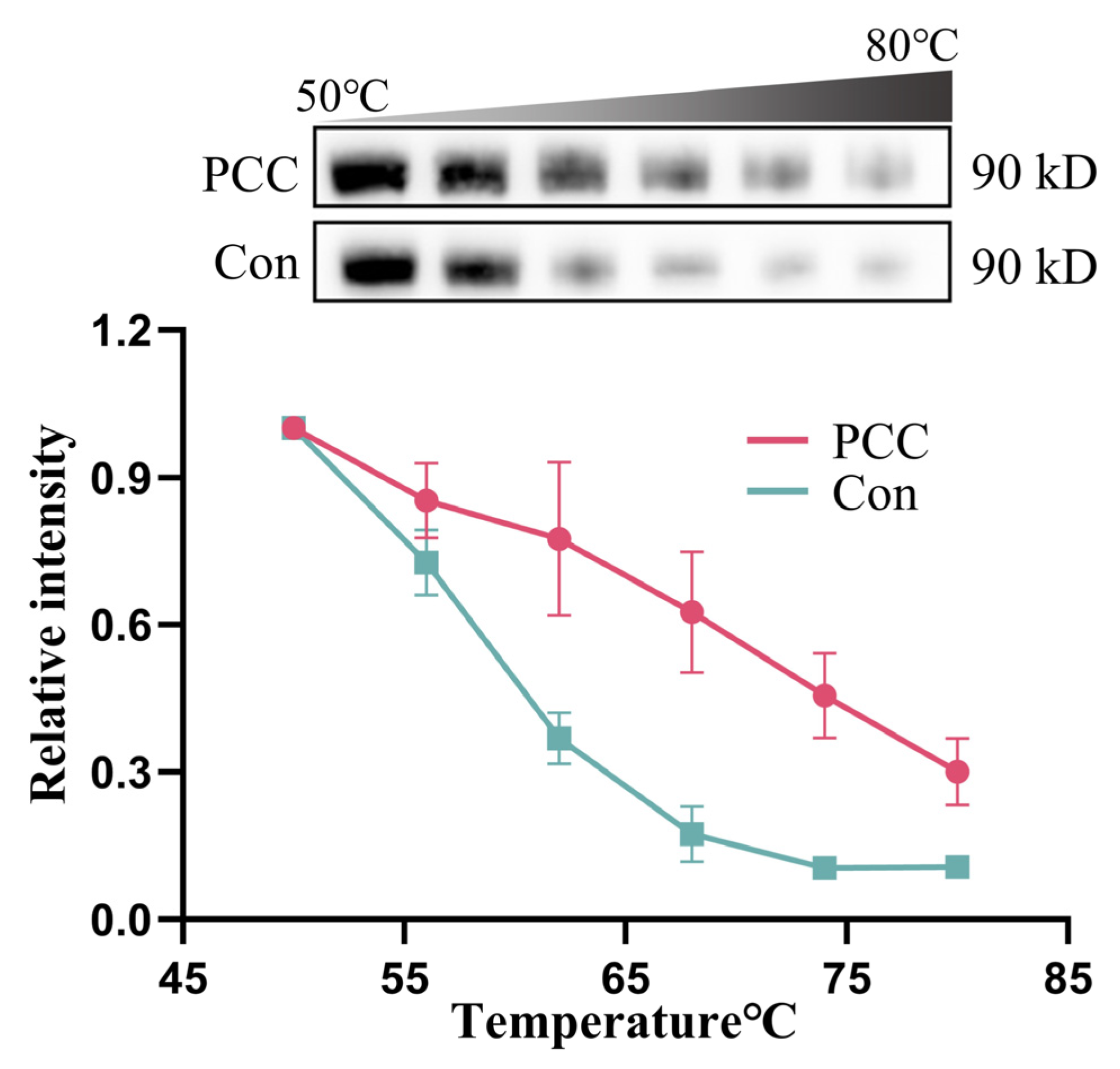 Antioxidants 14 00012 g007