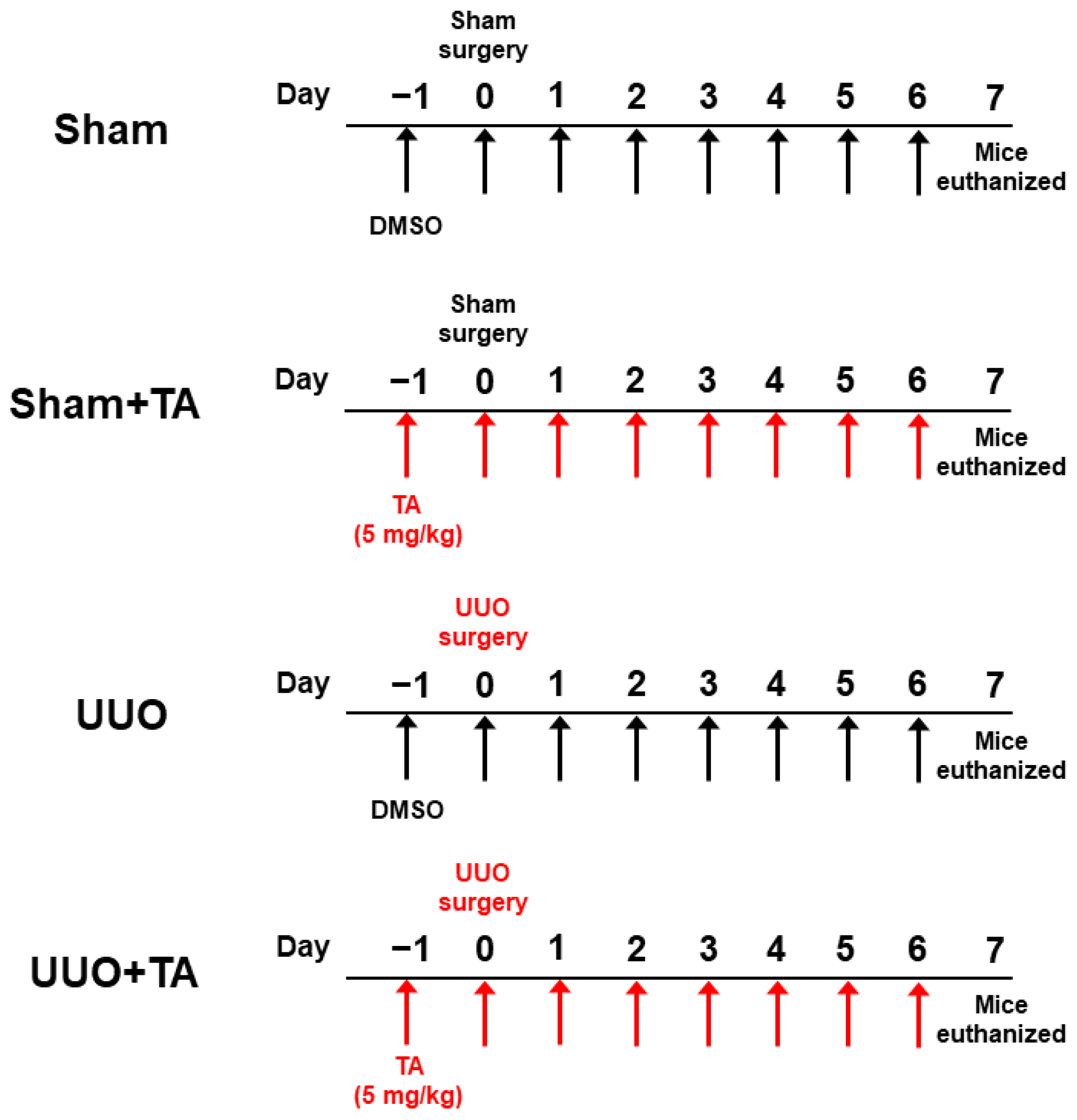Antioxidants 14 00013 g001