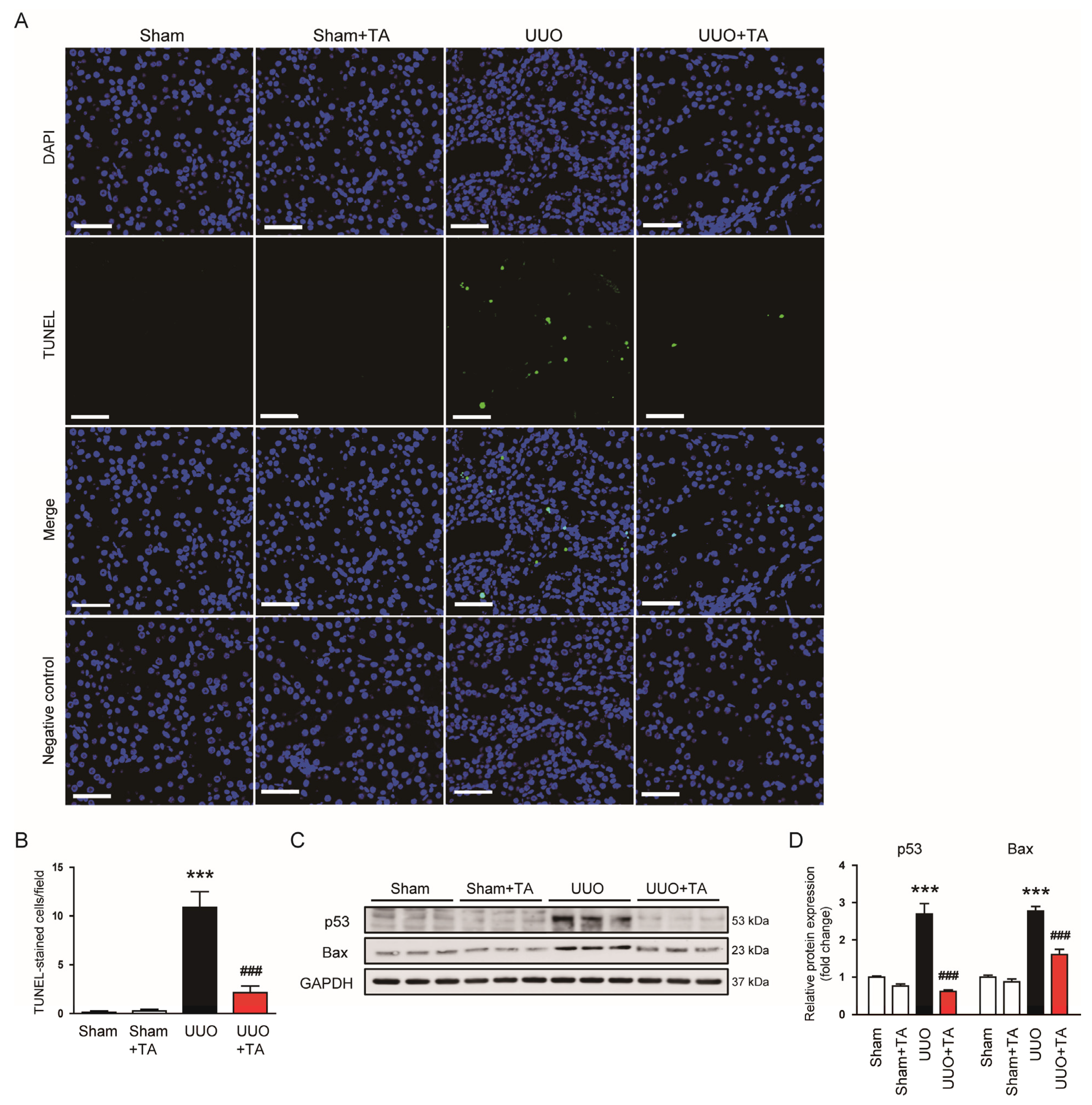 Antioxidants 14 00013 g009
