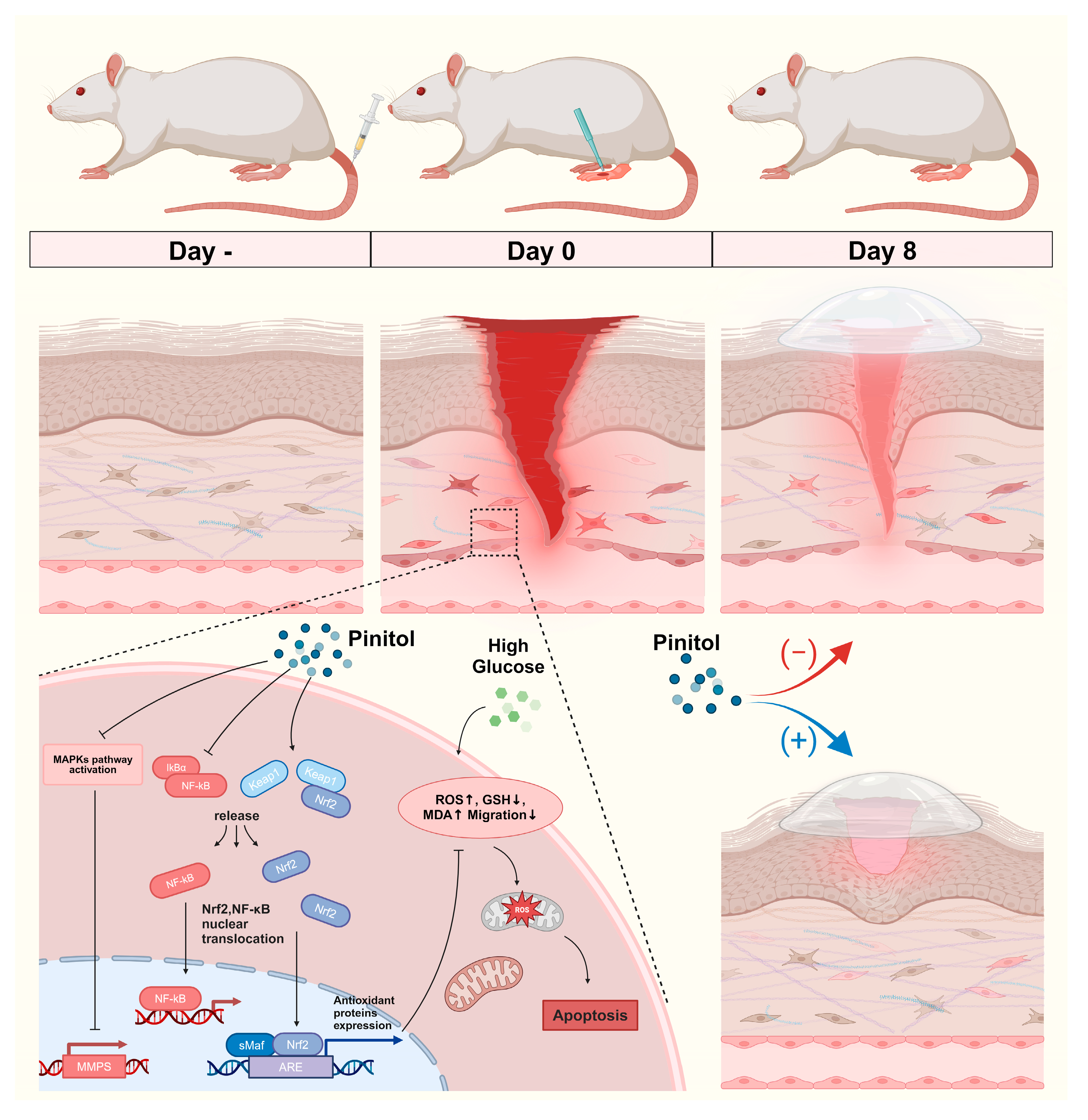 Antioxidants 14 00015 g009