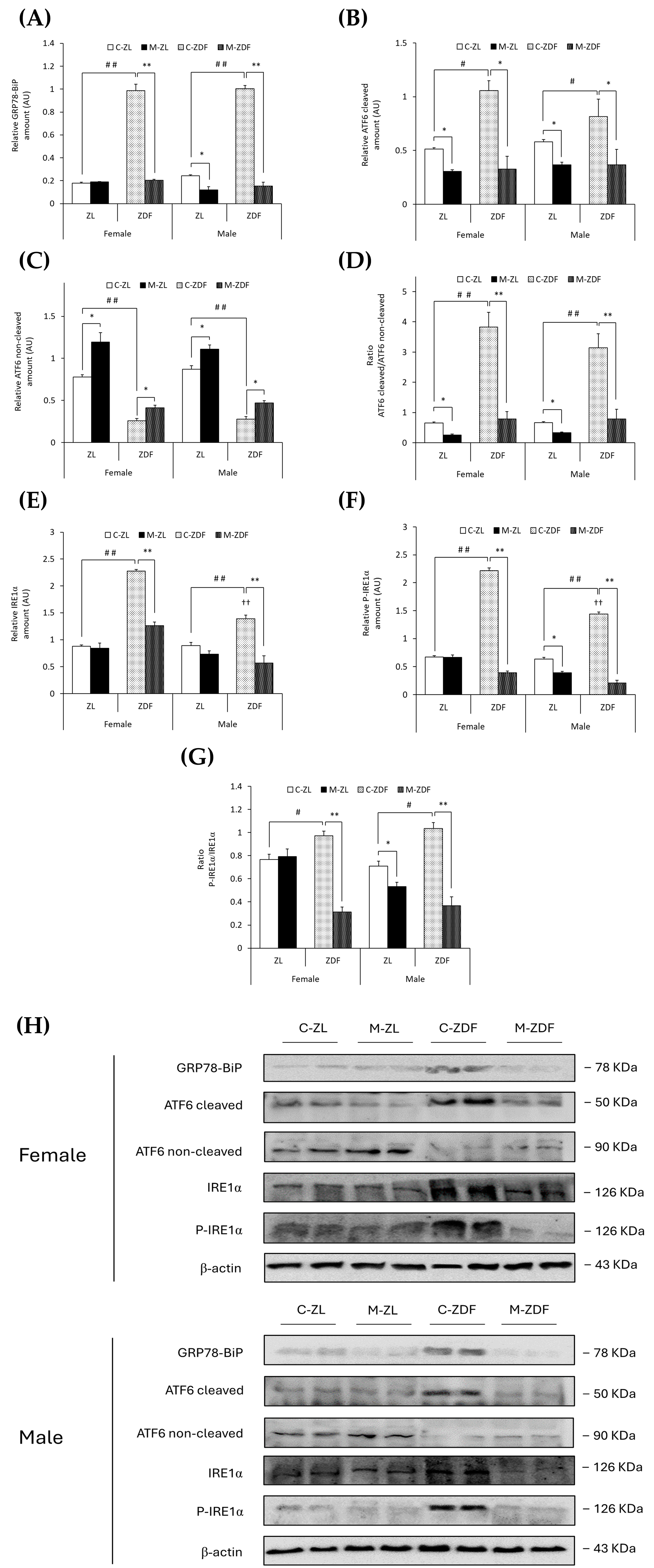 Antioxidants 14 00016 g003