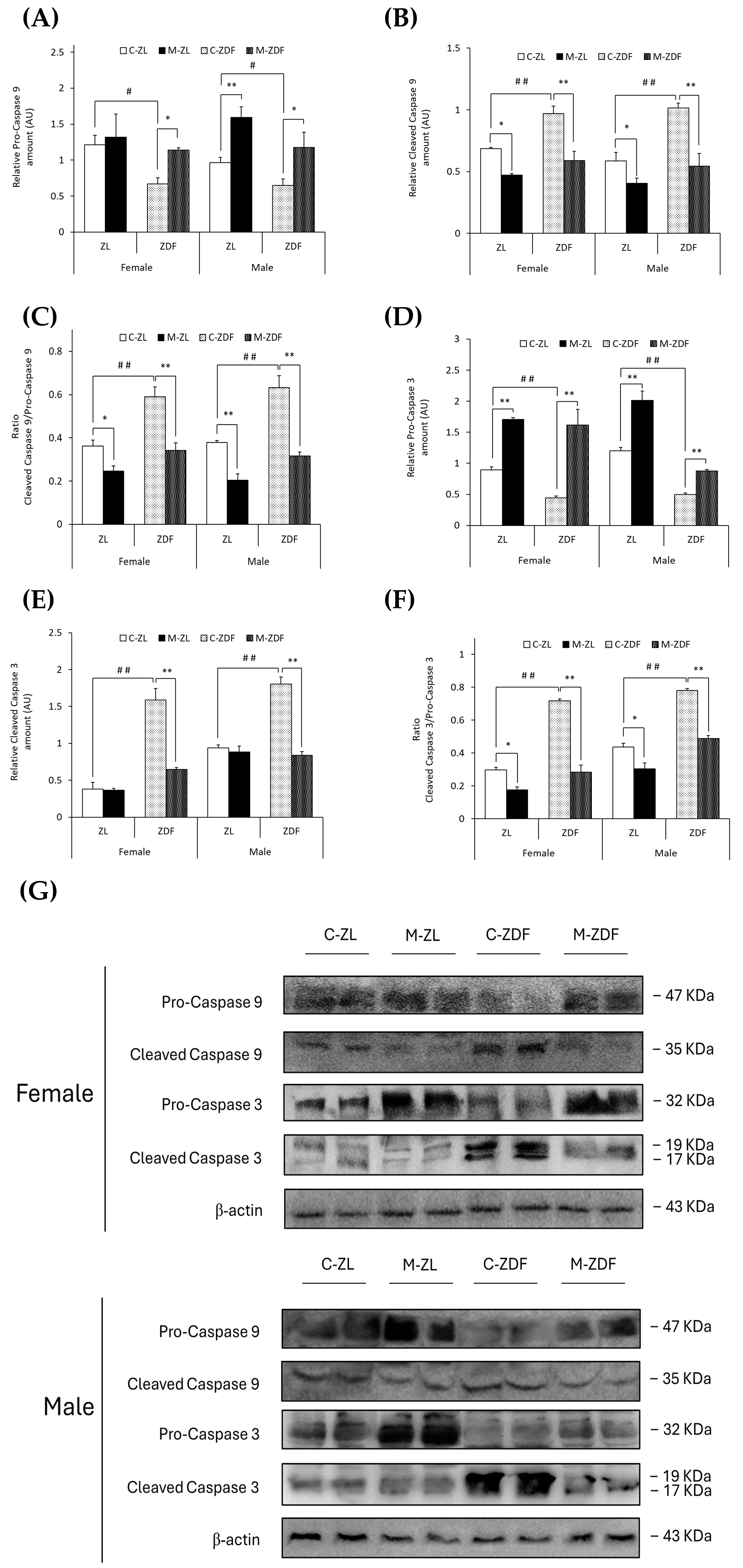 Antioxidants 14 00016 g006