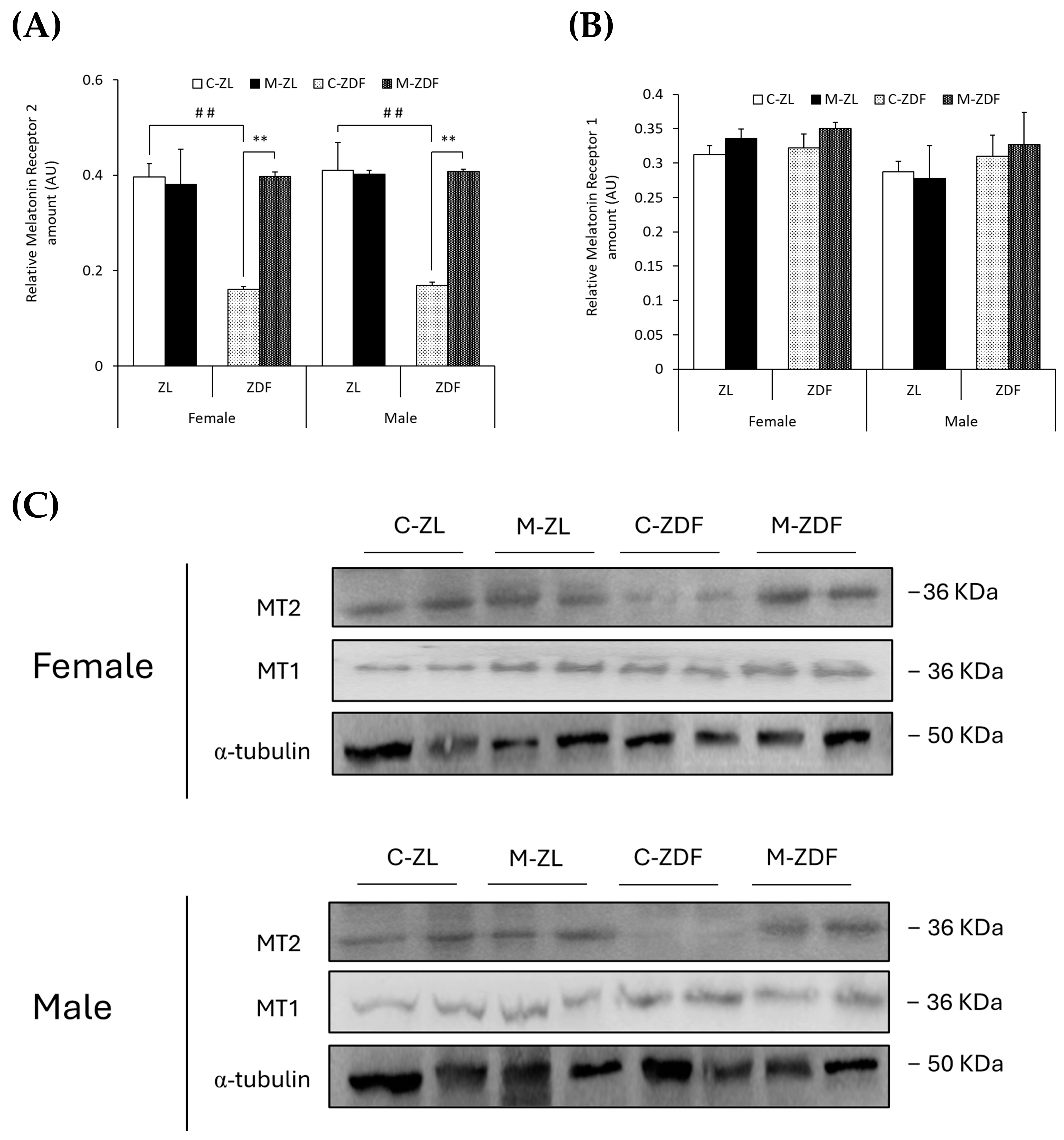 Antioxidants 14 00016 g007