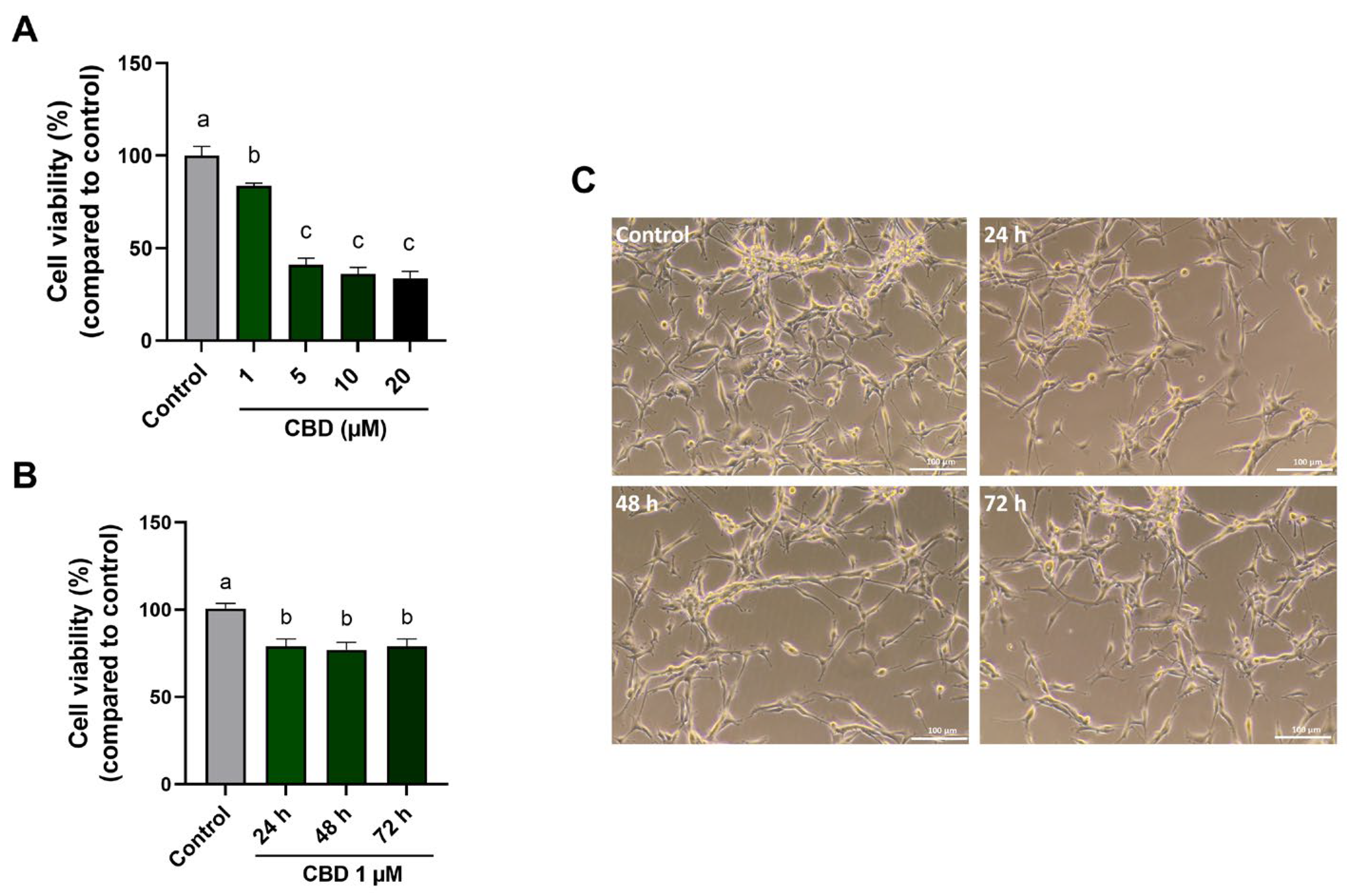 Antioxidants 14 00018 g001