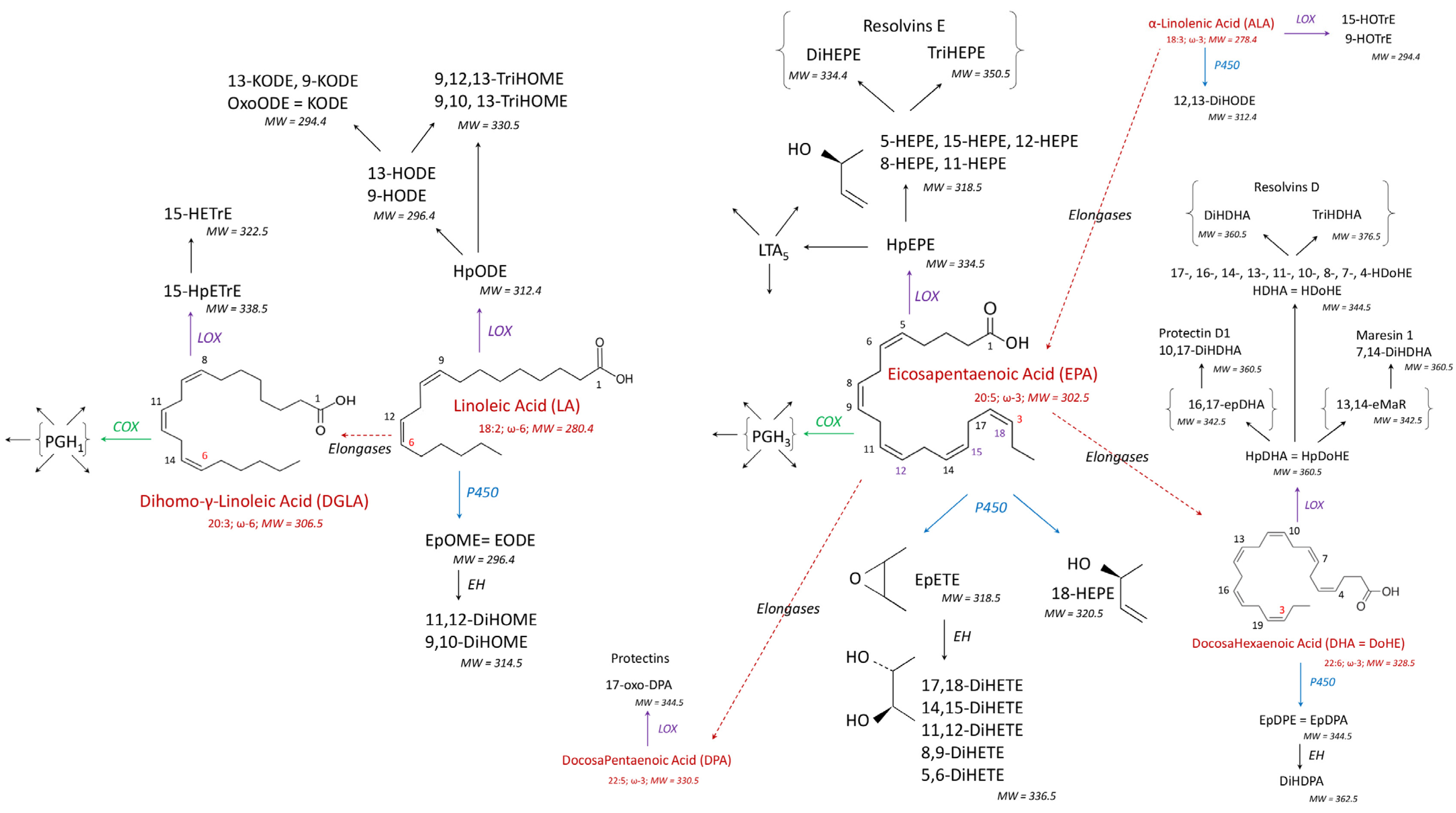 Antioxidants 14 00019 g002