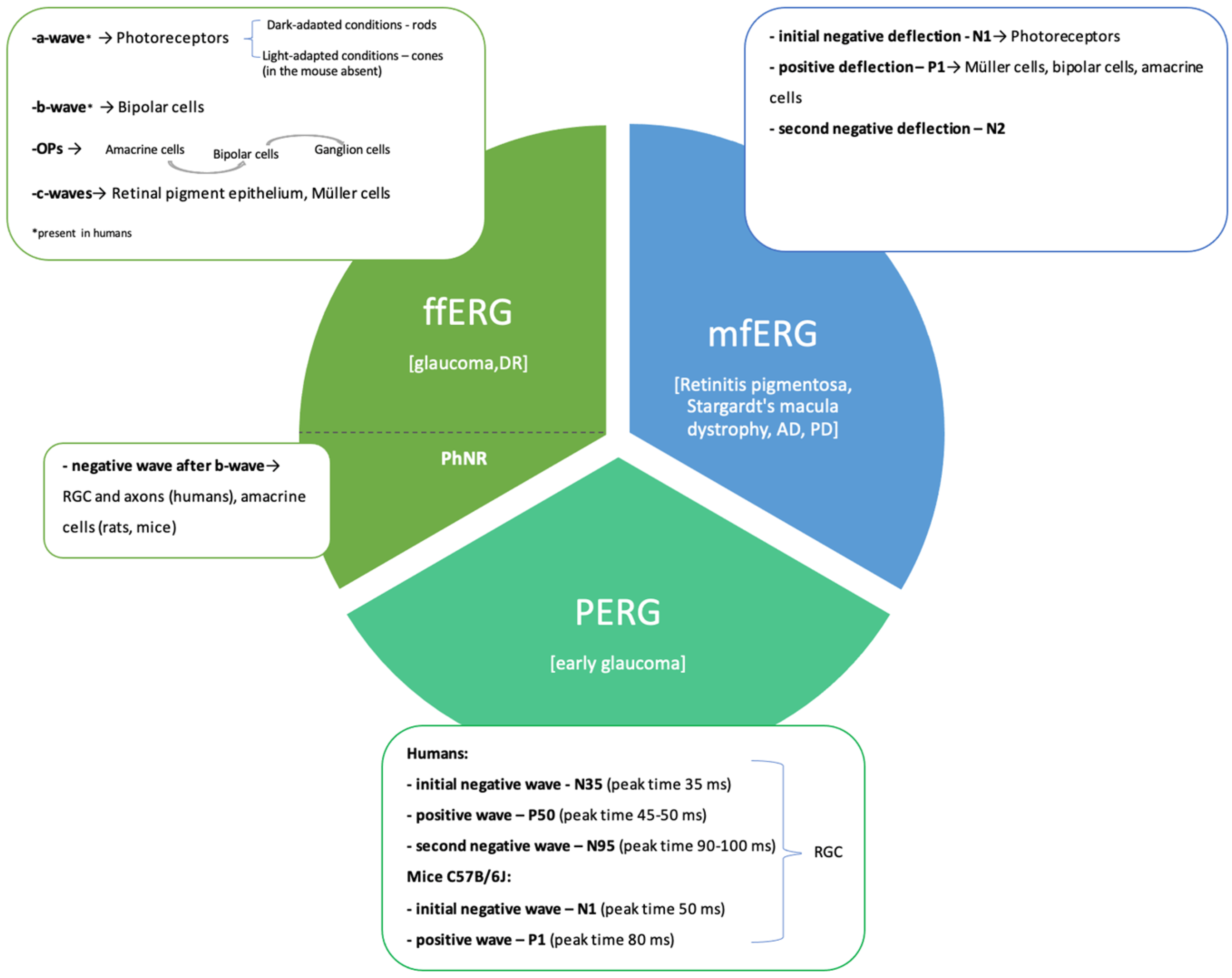Antioxidants 14 00021 g001