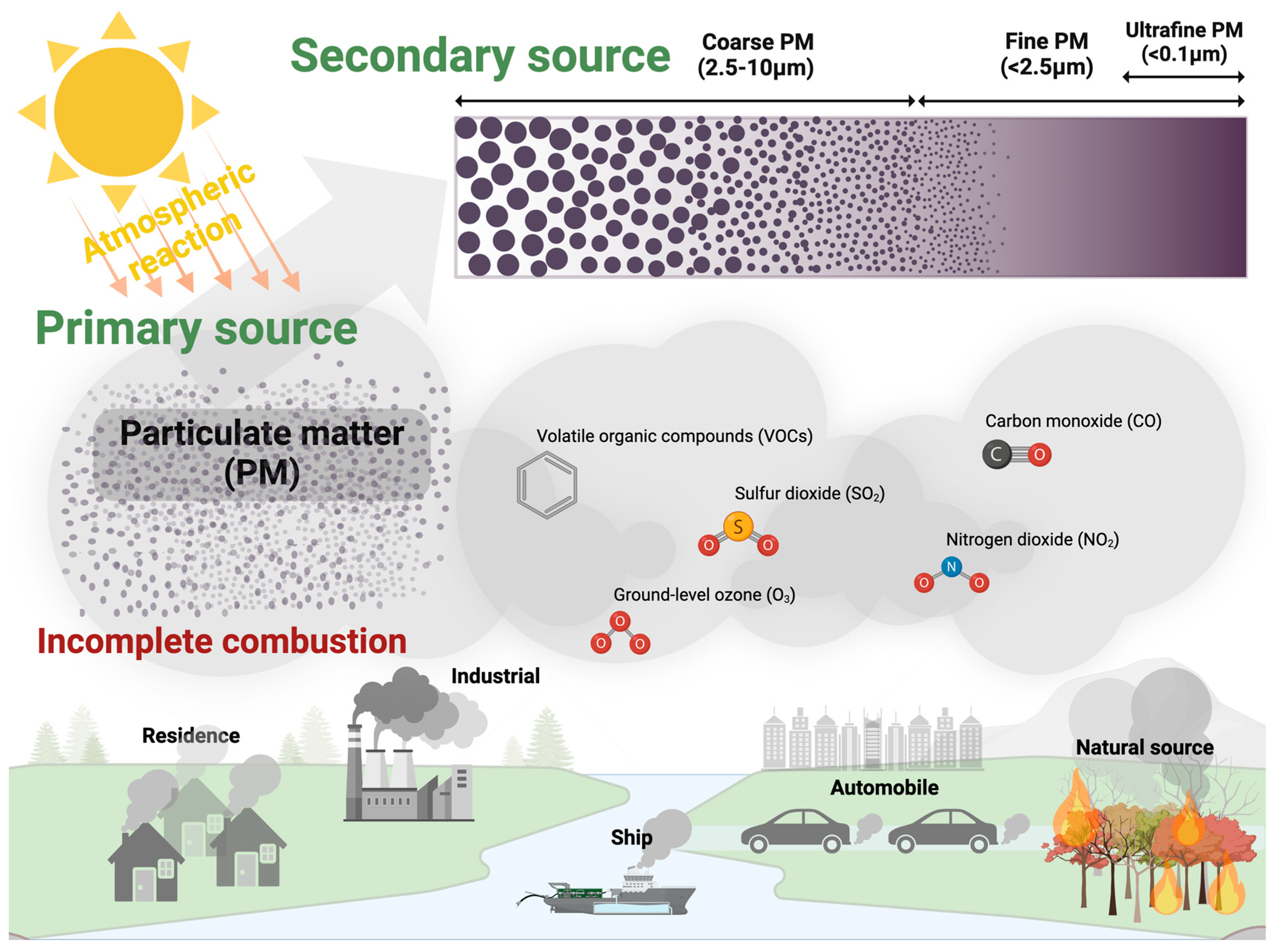 Antioxidants 14 00023 g001