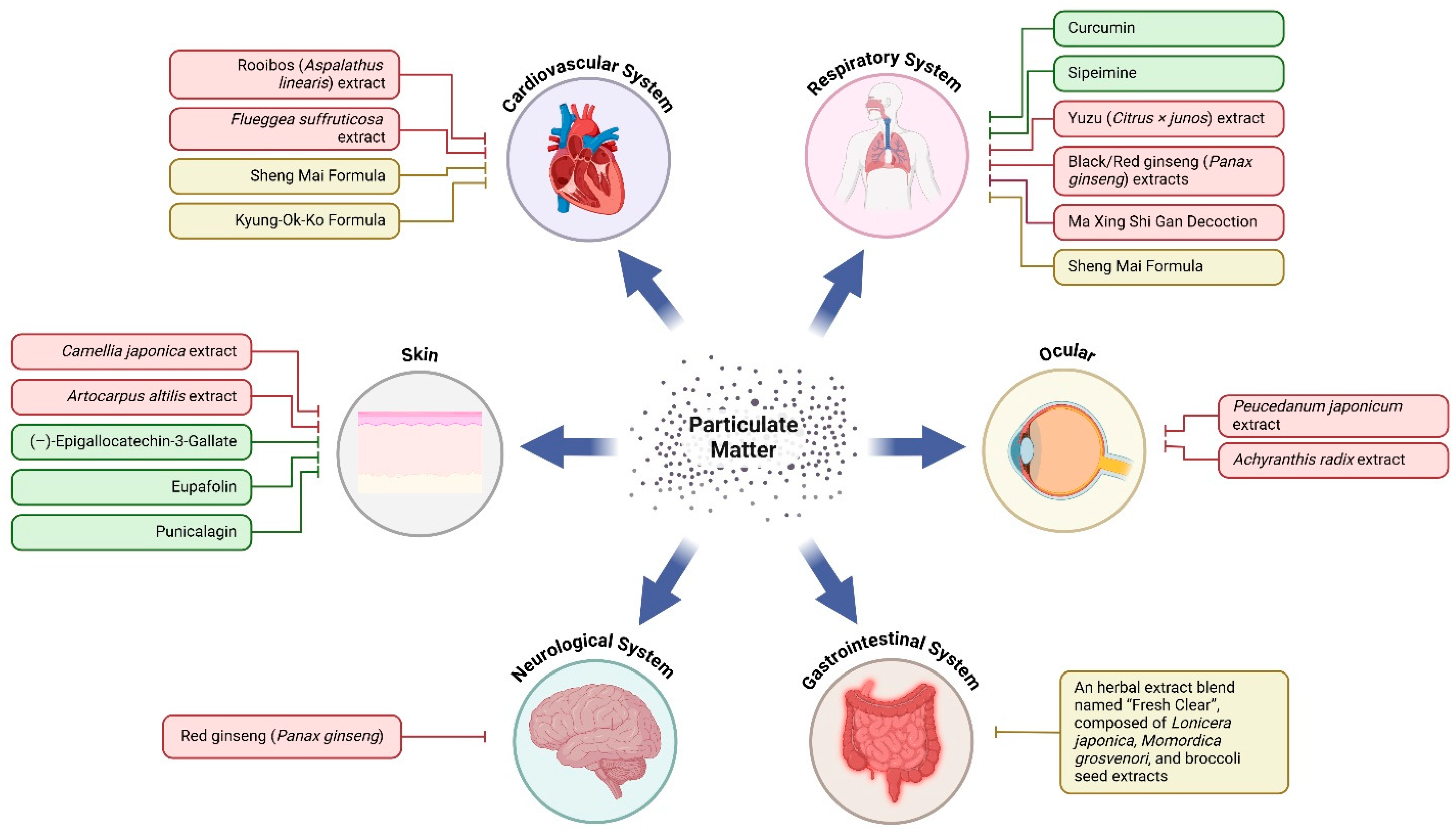 Antioxidants 14 00023 g003