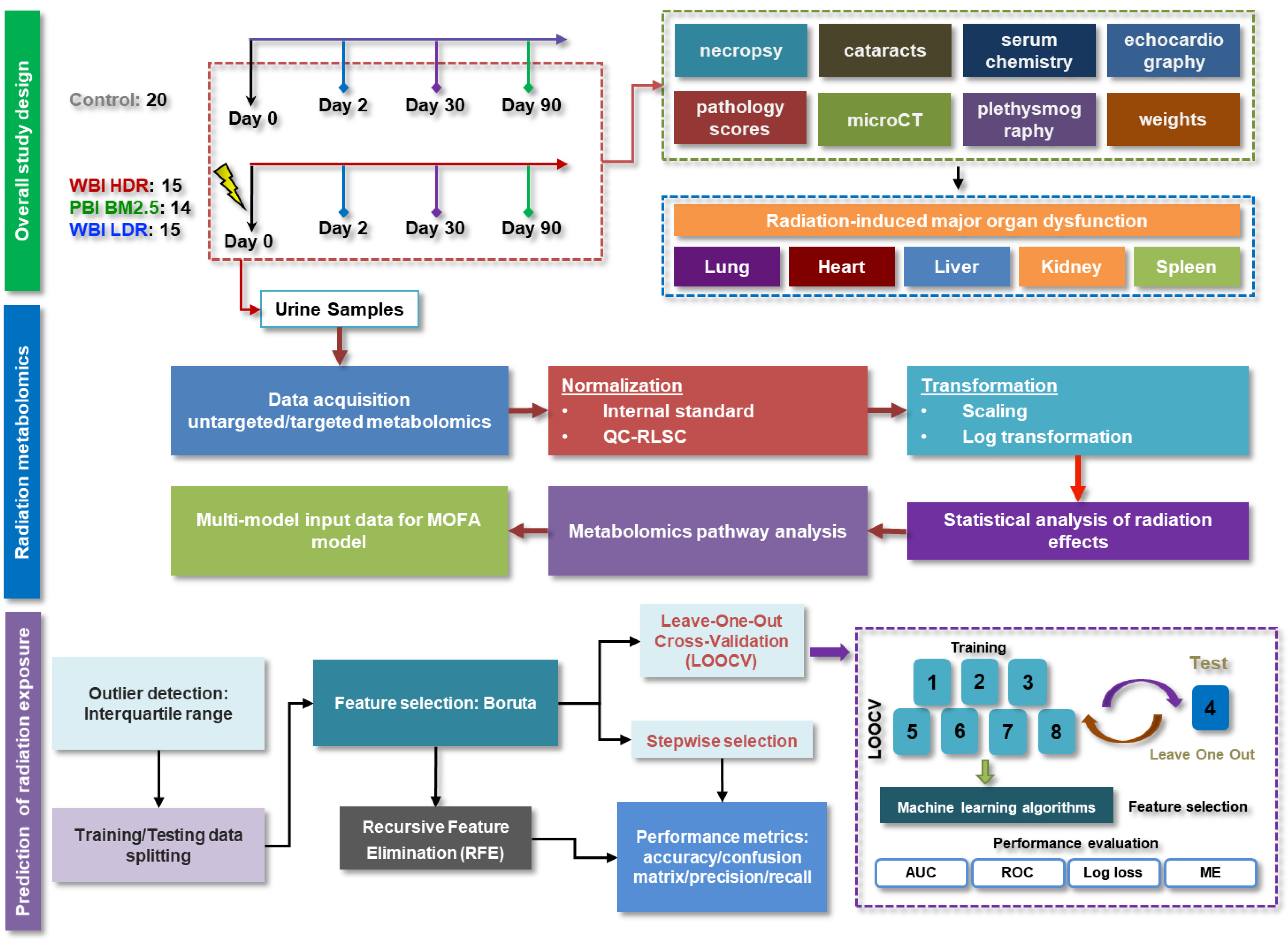 Antioxidants 14 00024 g001