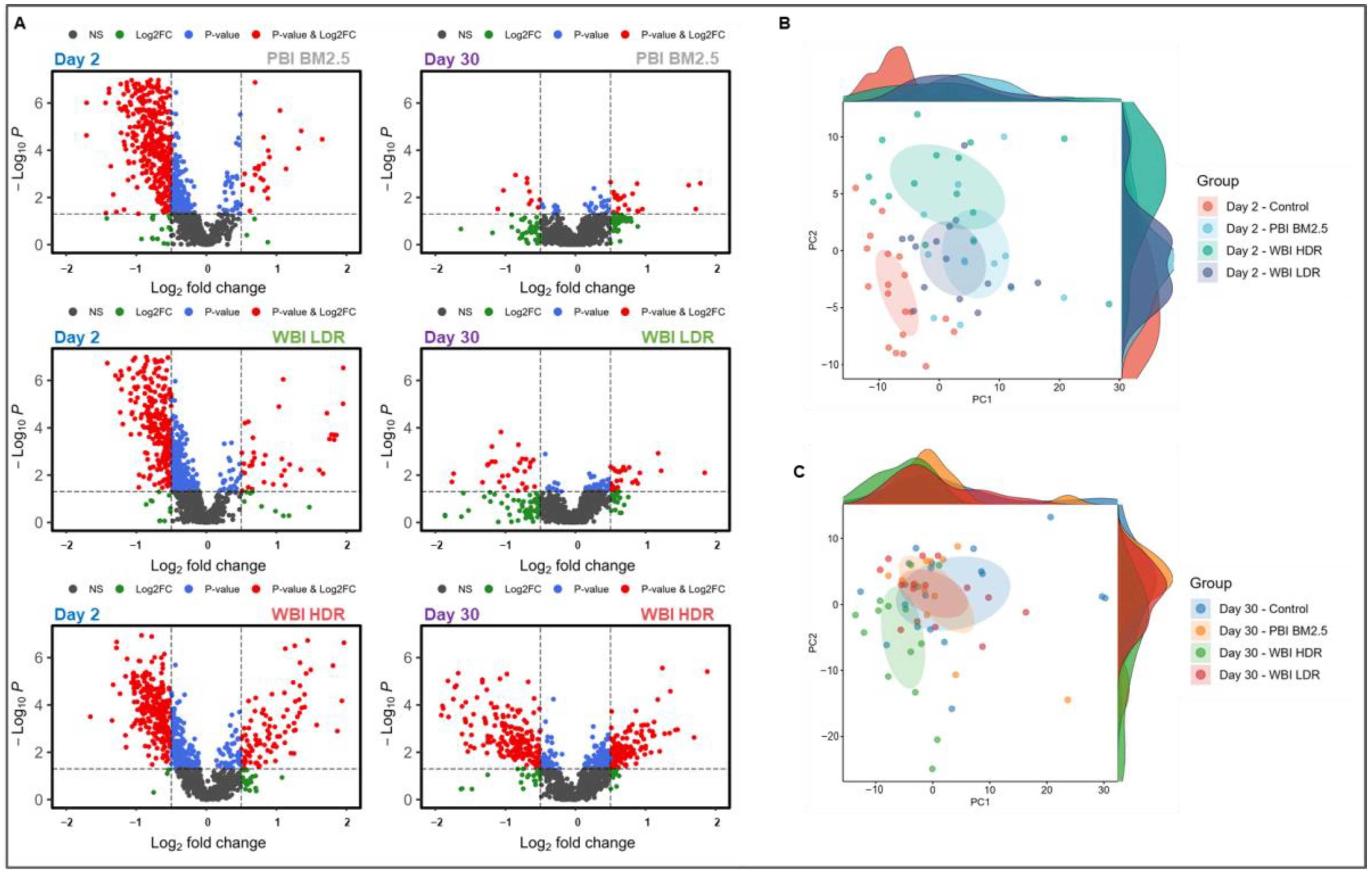 Antioxidants 14 00024 g002
