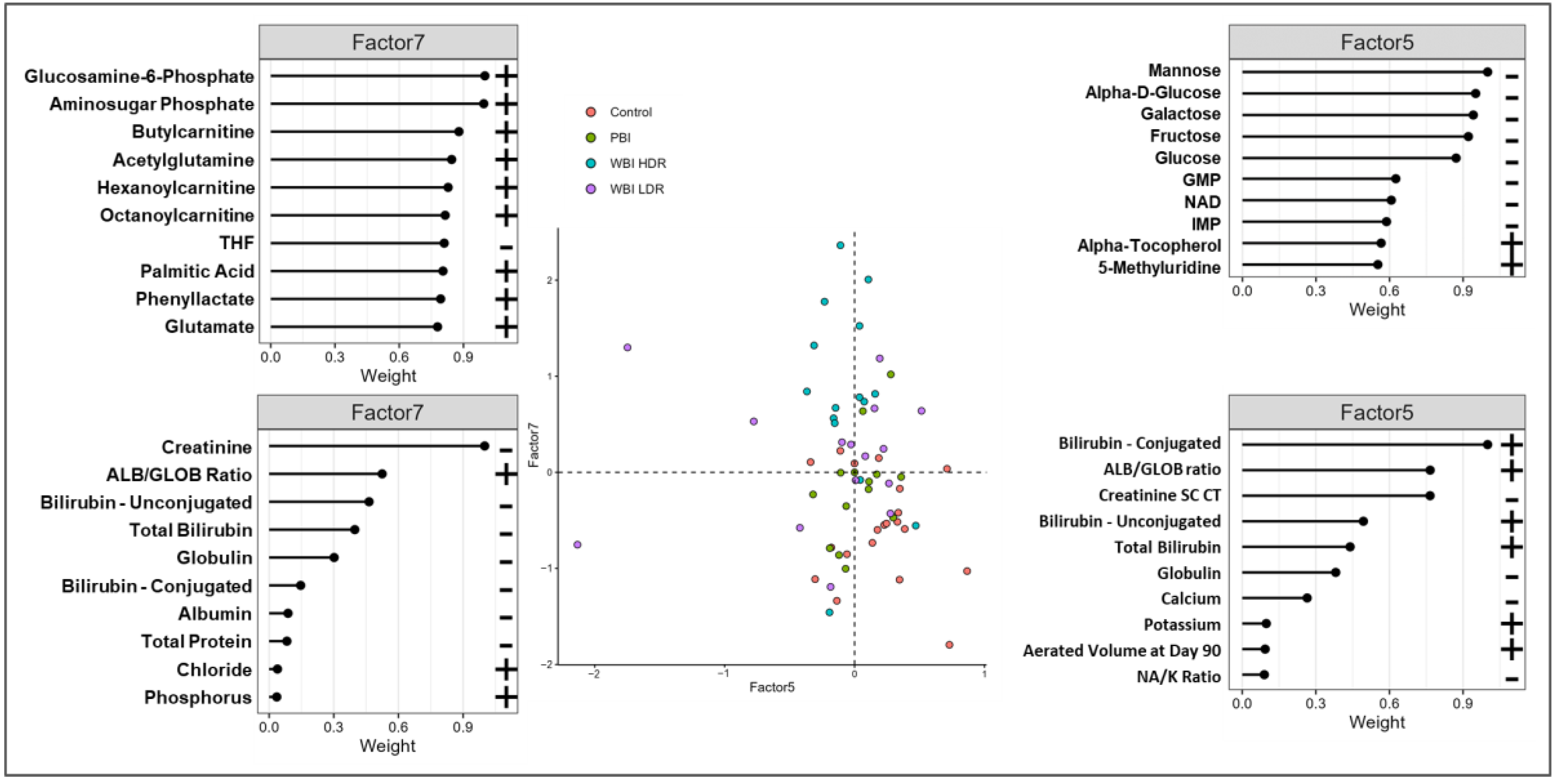 Antioxidants 14 00024 g005