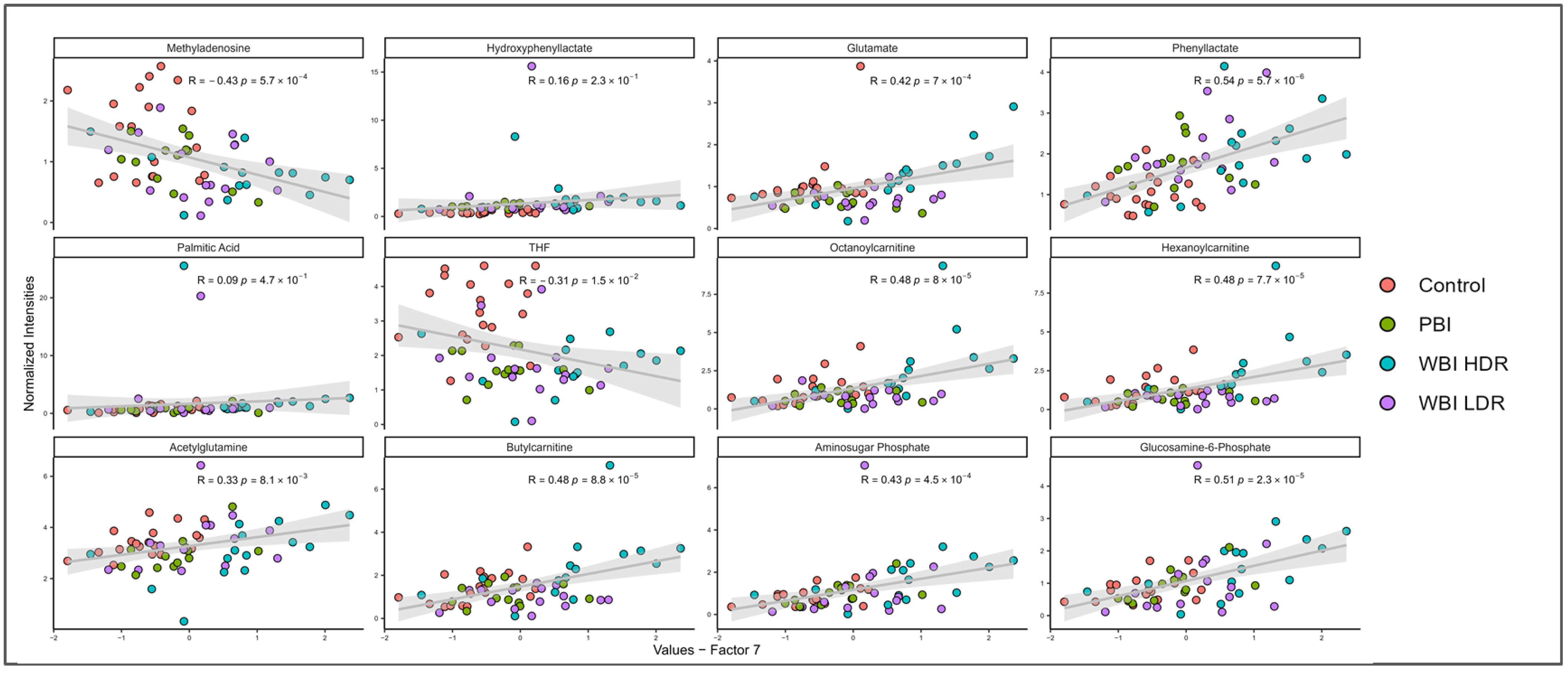Antioxidants 14 00024 g006