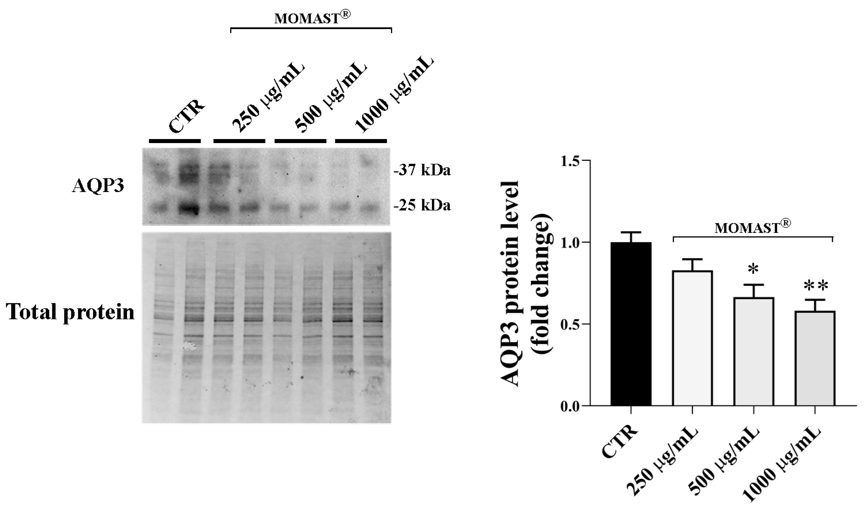 Antioxidants 14 00026 g004