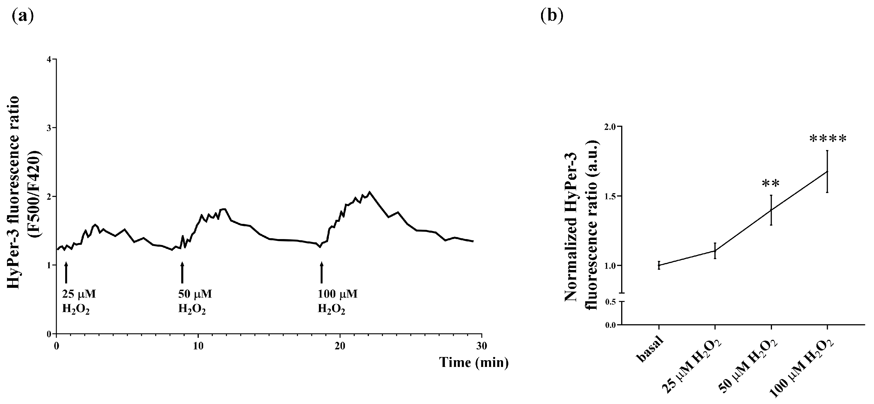 Antioxidants 14 00026 g005