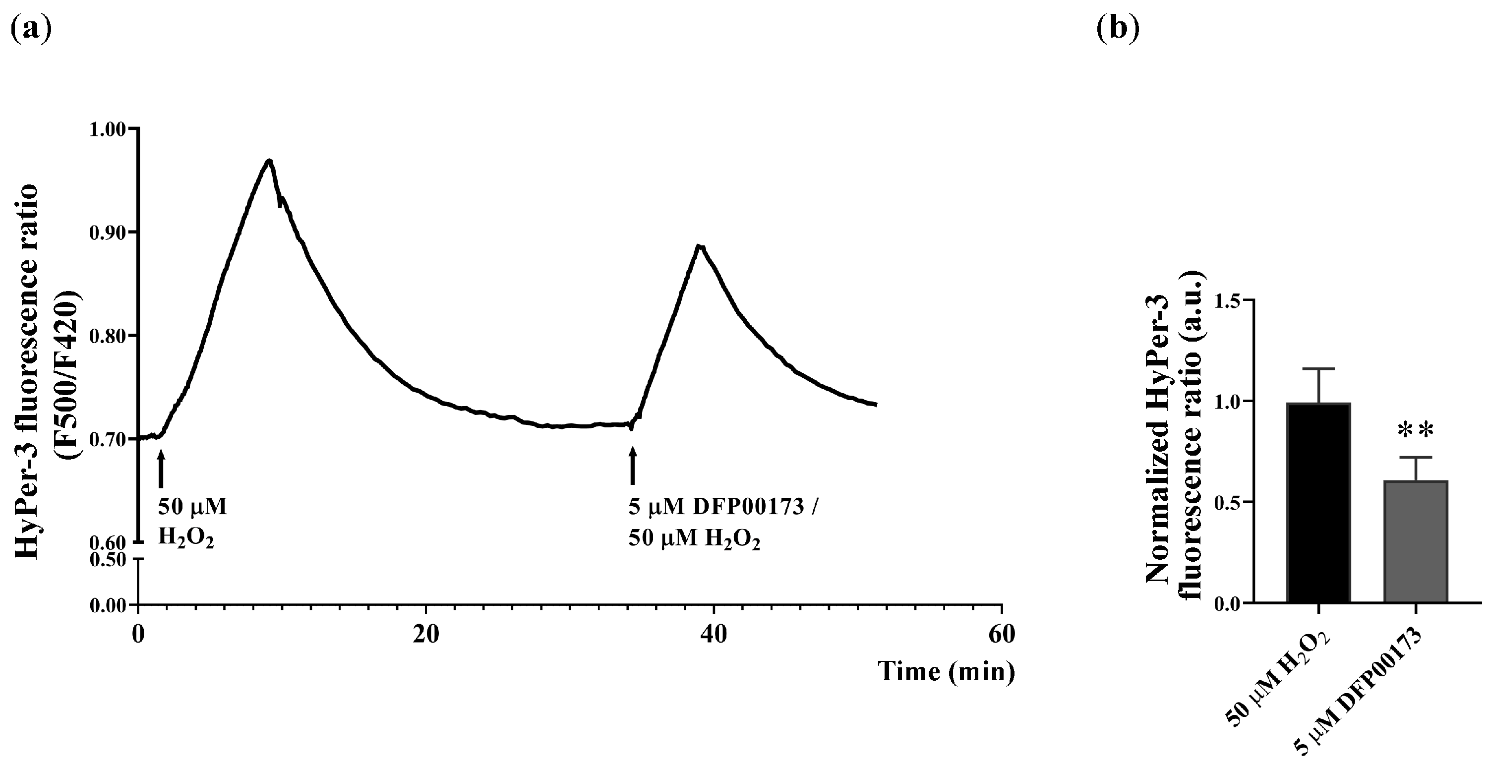 Antioxidants 14 00026 g006