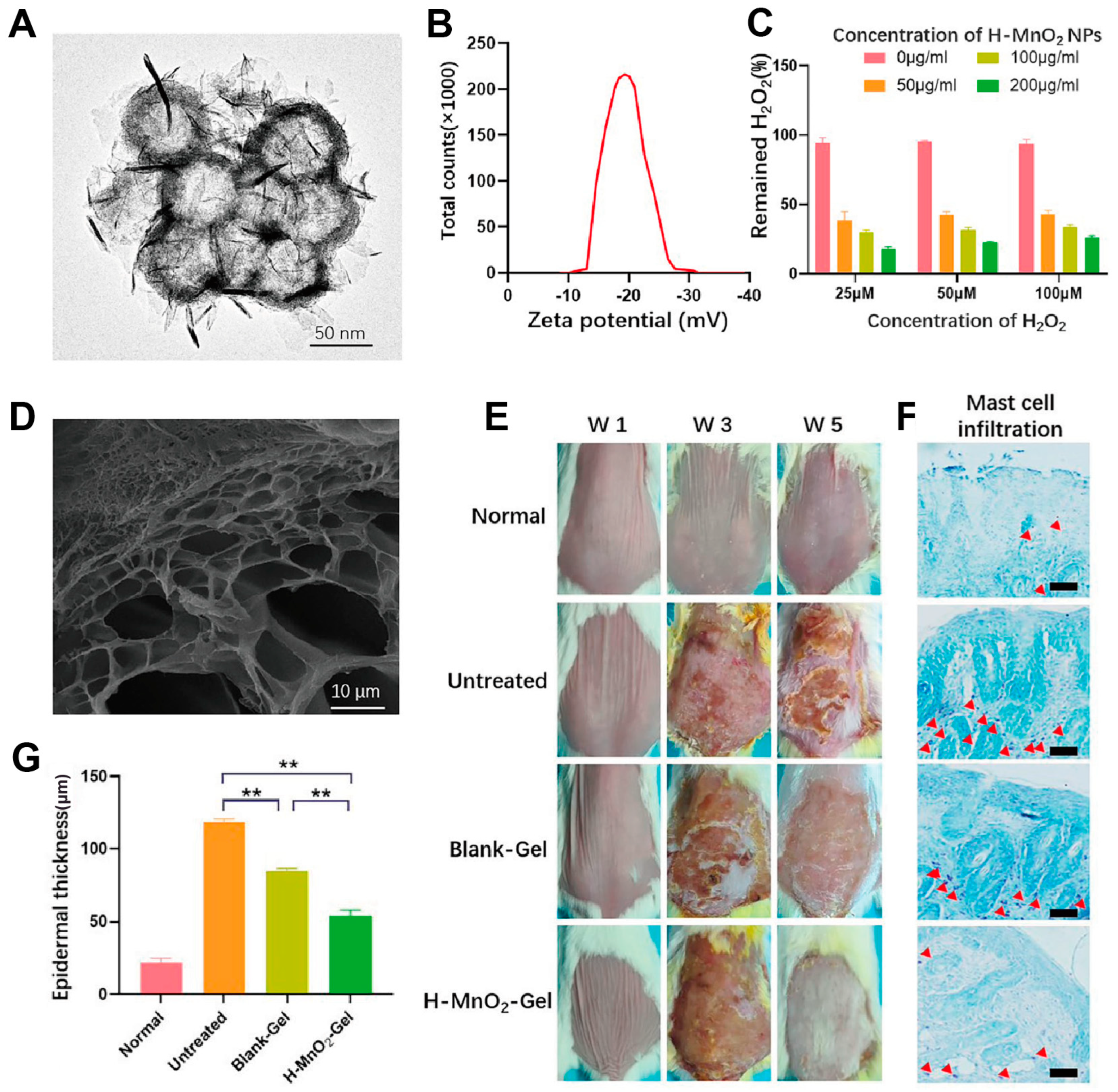 Antioxidants 14 00027 g003