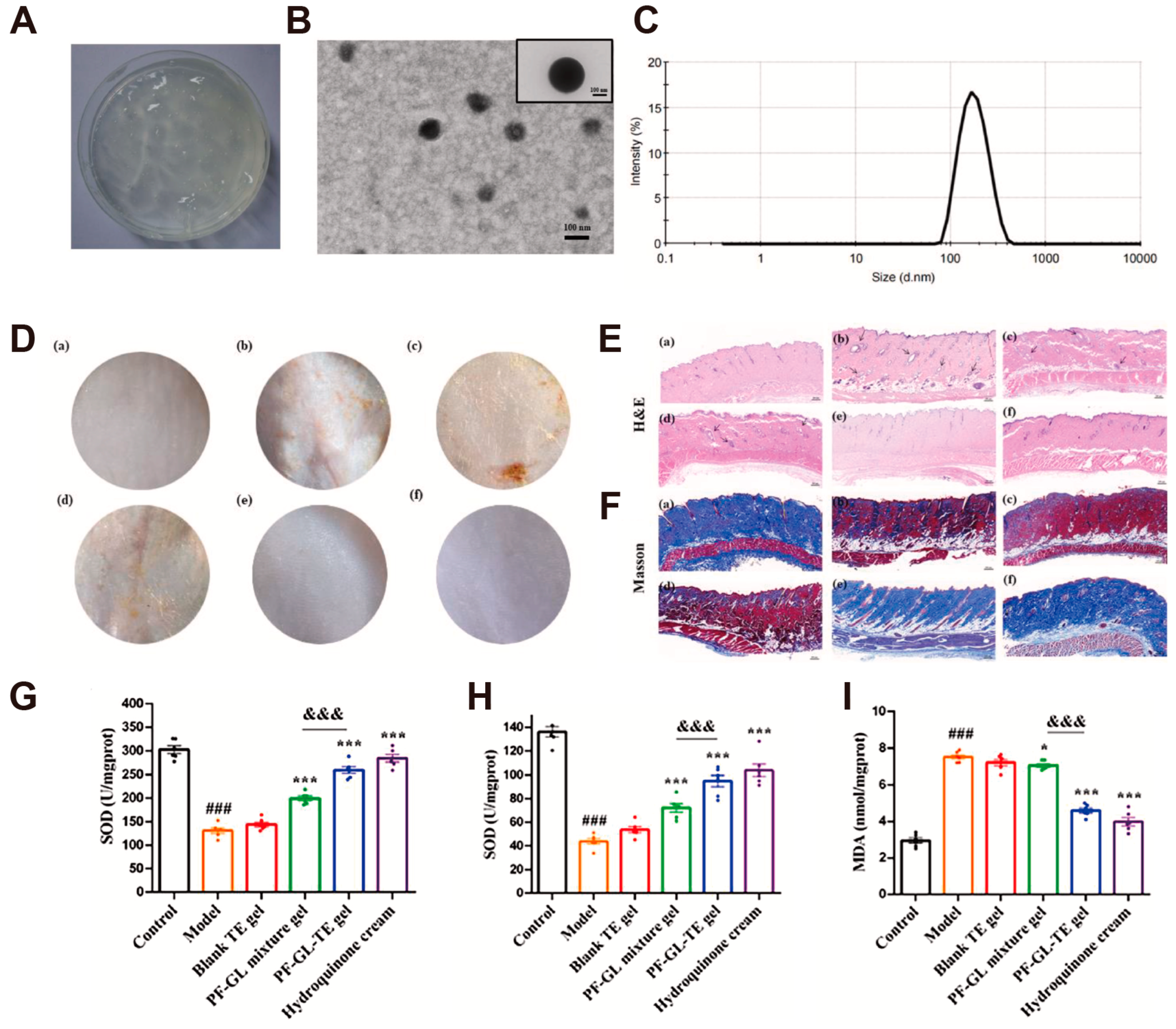 Antioxidants 14 00027 g005