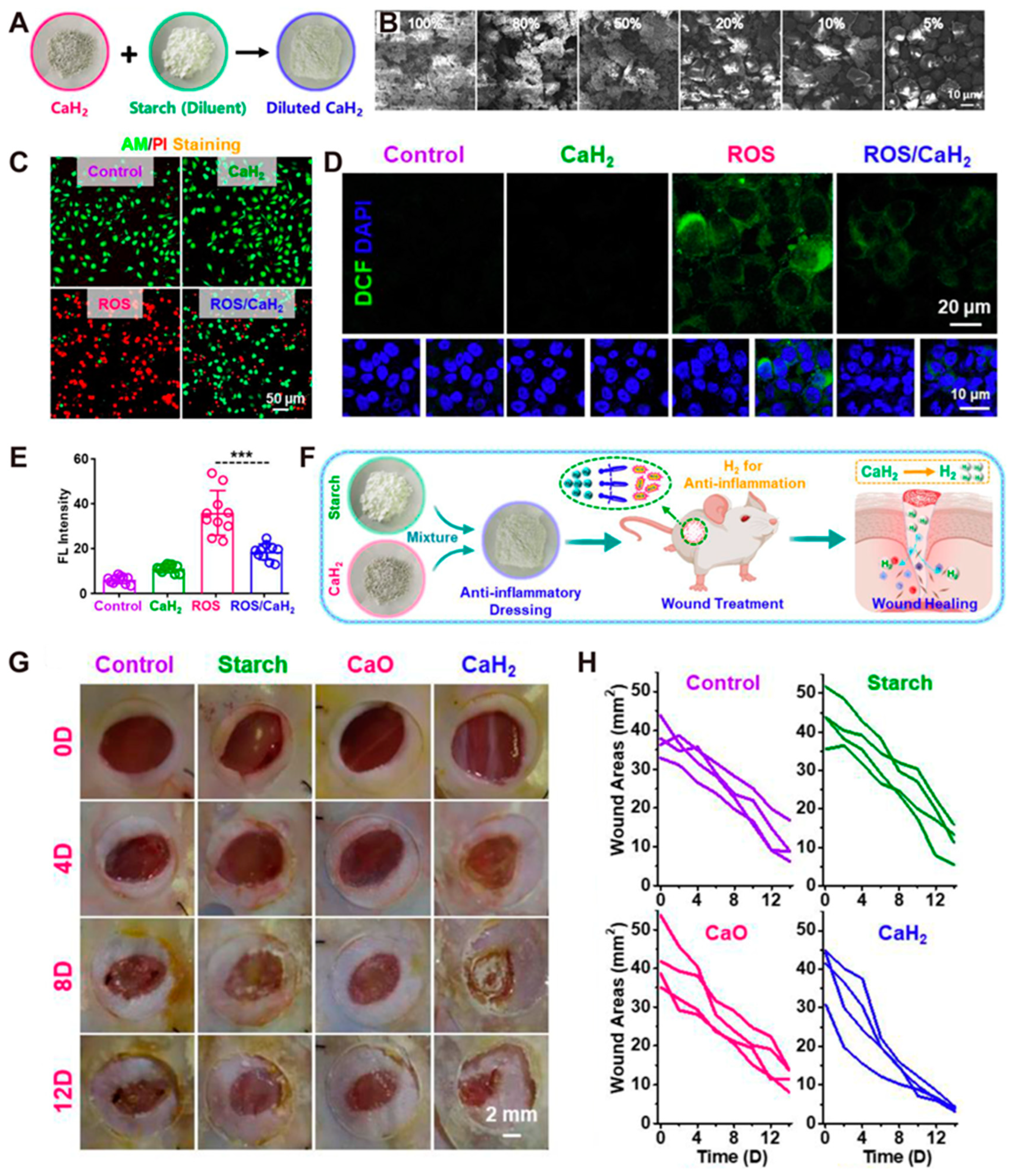 Antioxidants 14 00027 g006