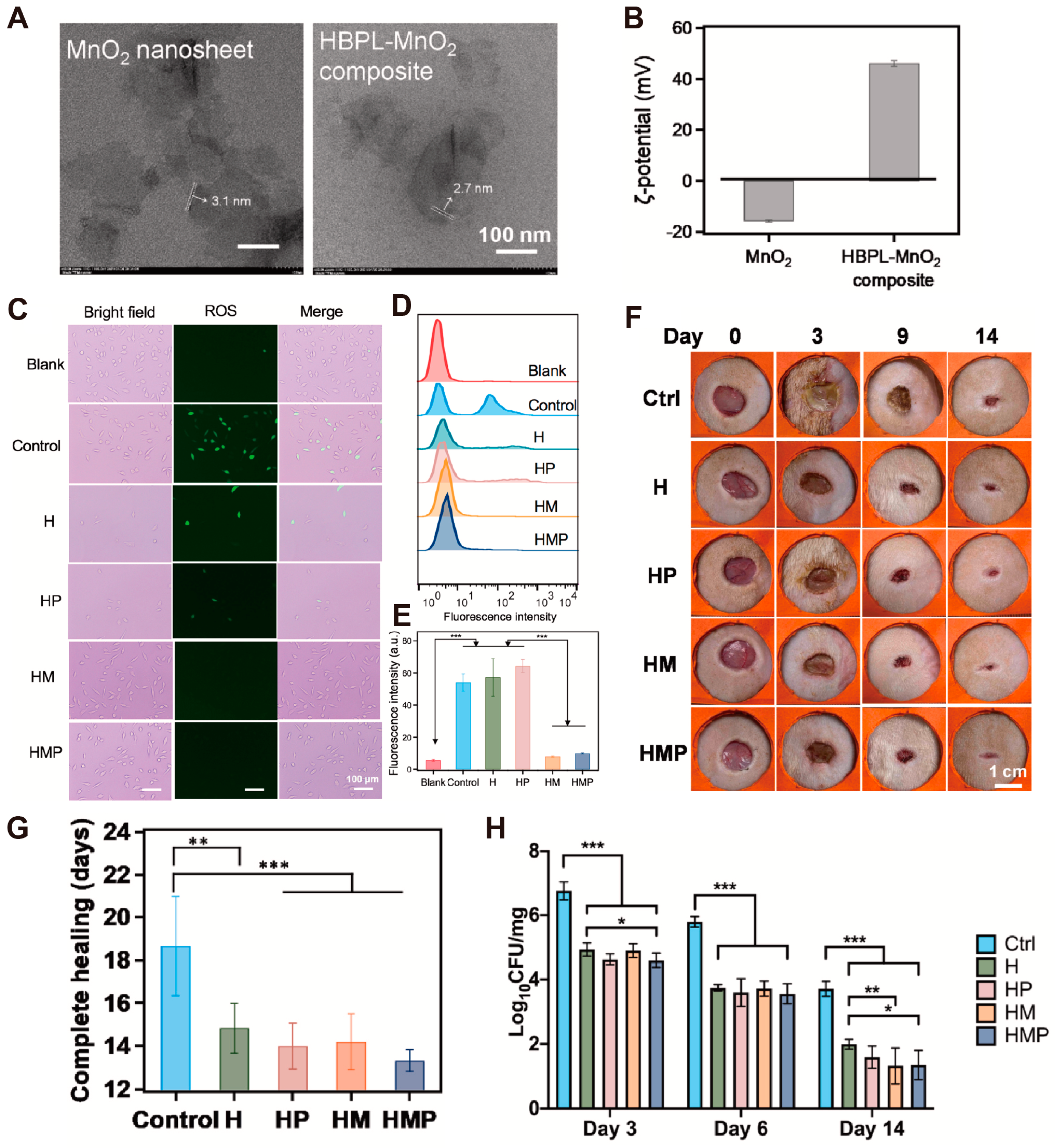 Antioxidants 14 00027 g007