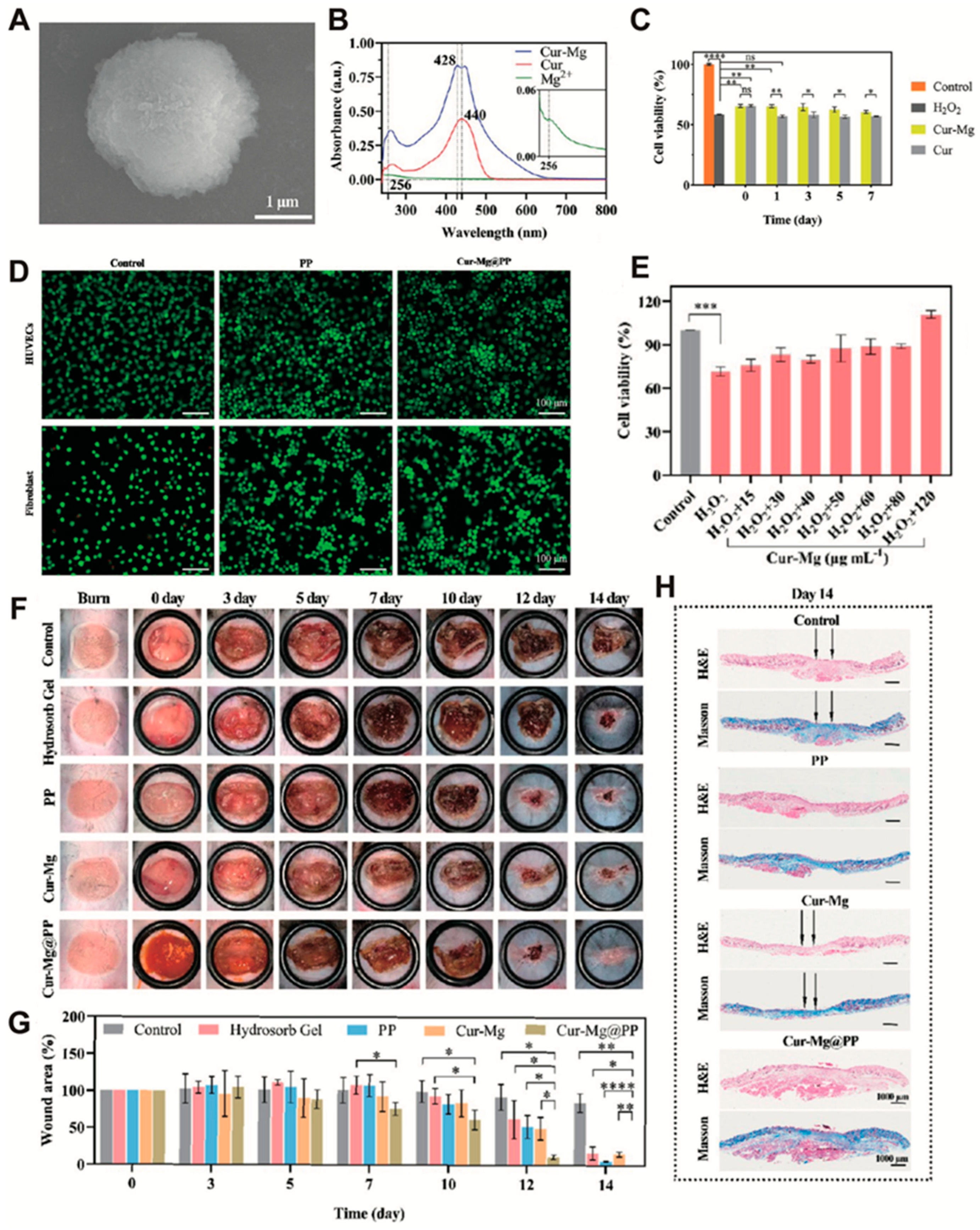 Antioxidants 14 00027 g008