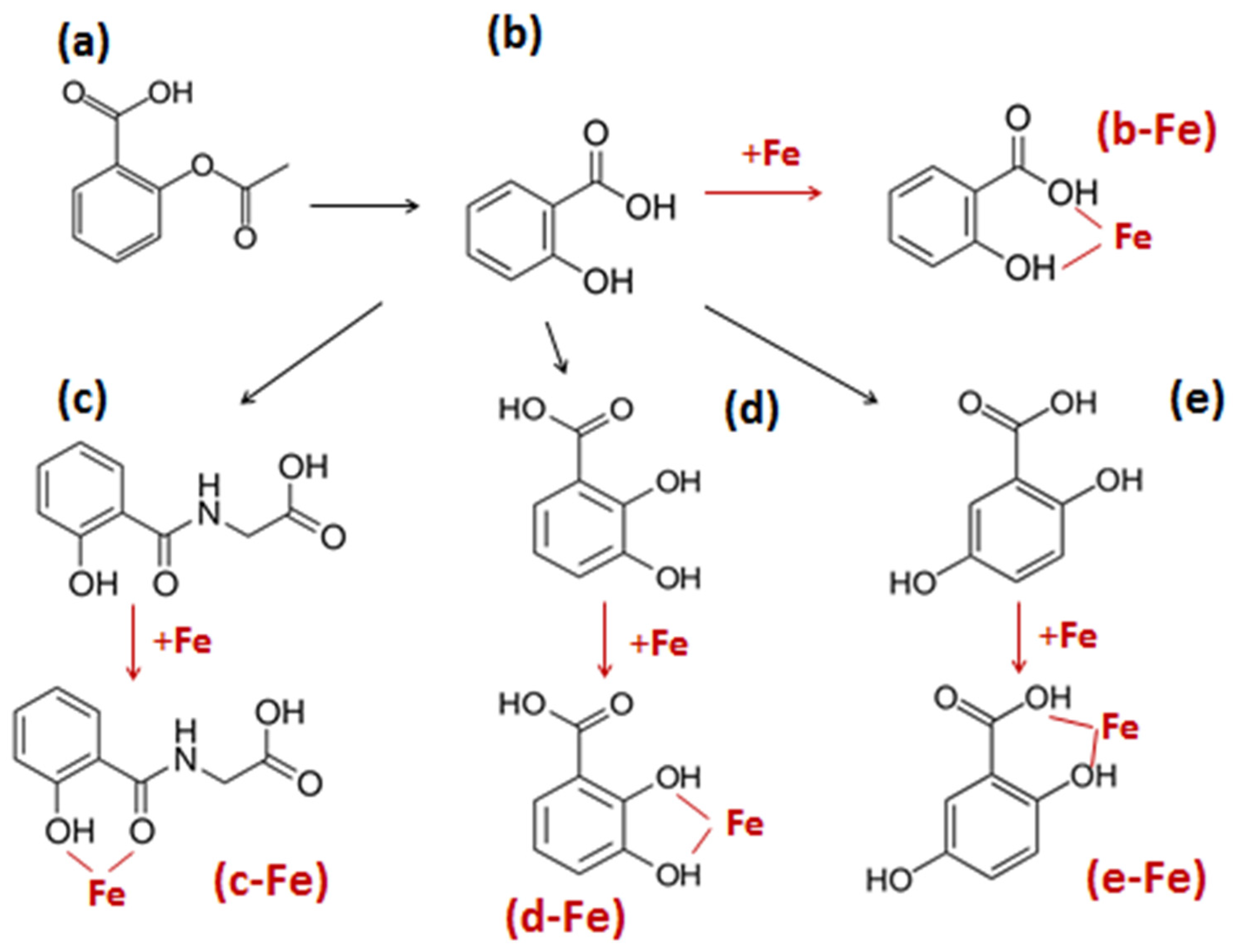 Antioxidants 14 00029 g001 Antioxidants 14 00029 g001